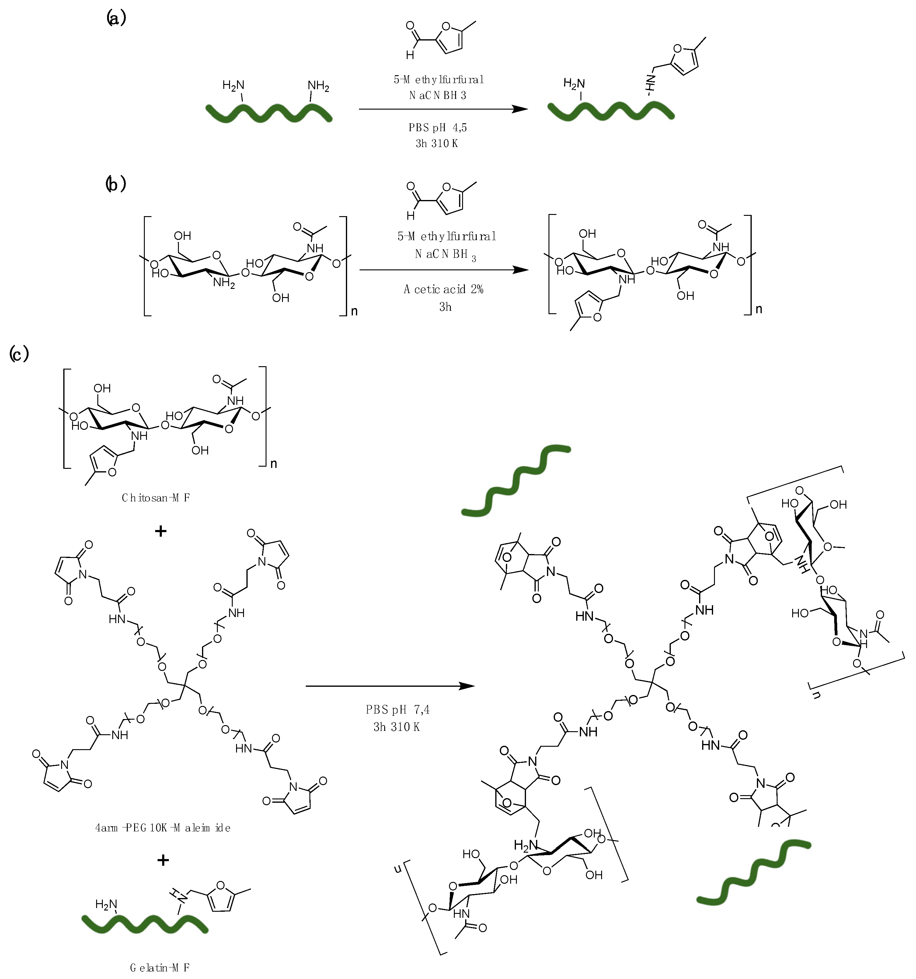 Biomolecules 11 00683 sch001