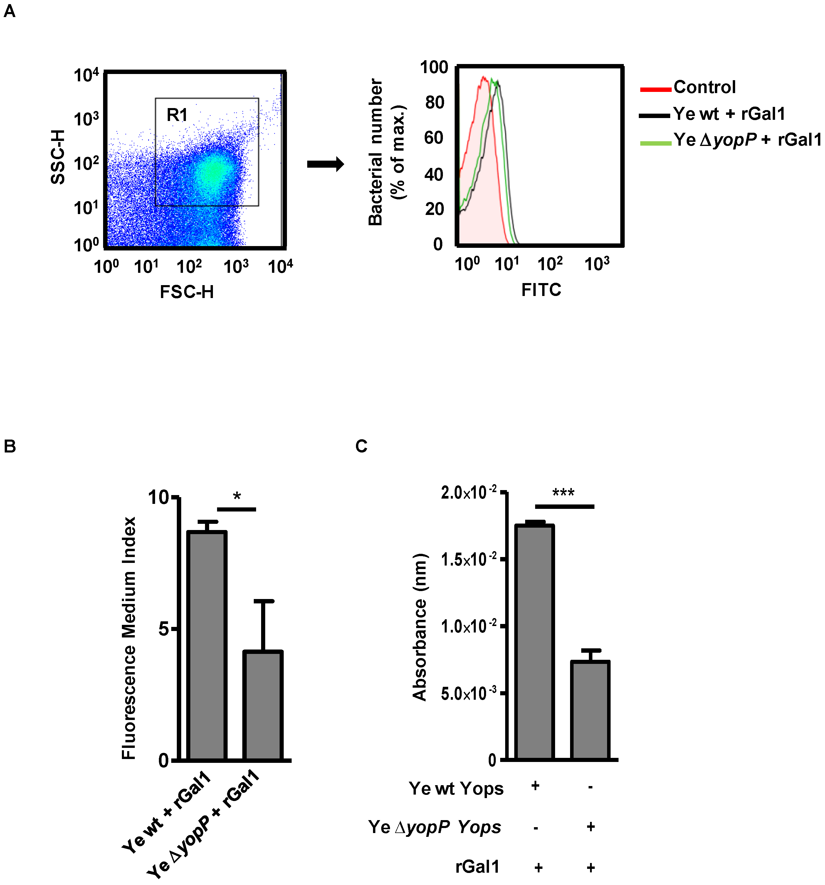 Biomolecules 11 01636 g001