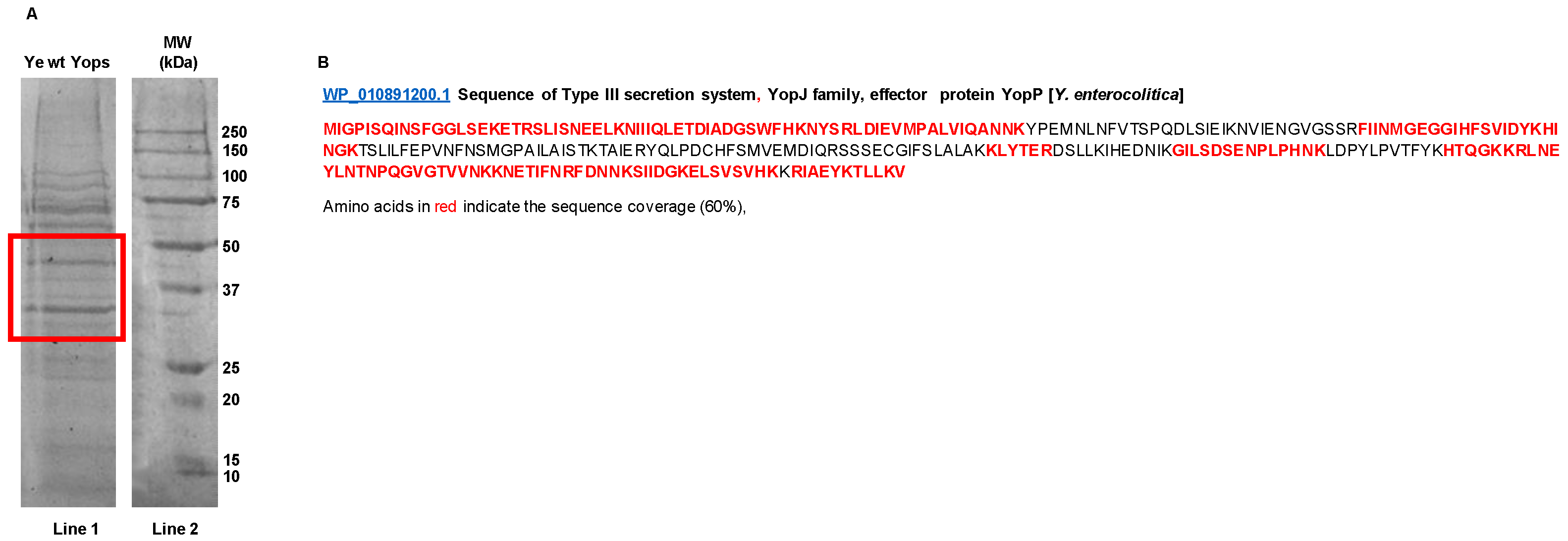 Biomolecules 11 01636 g003