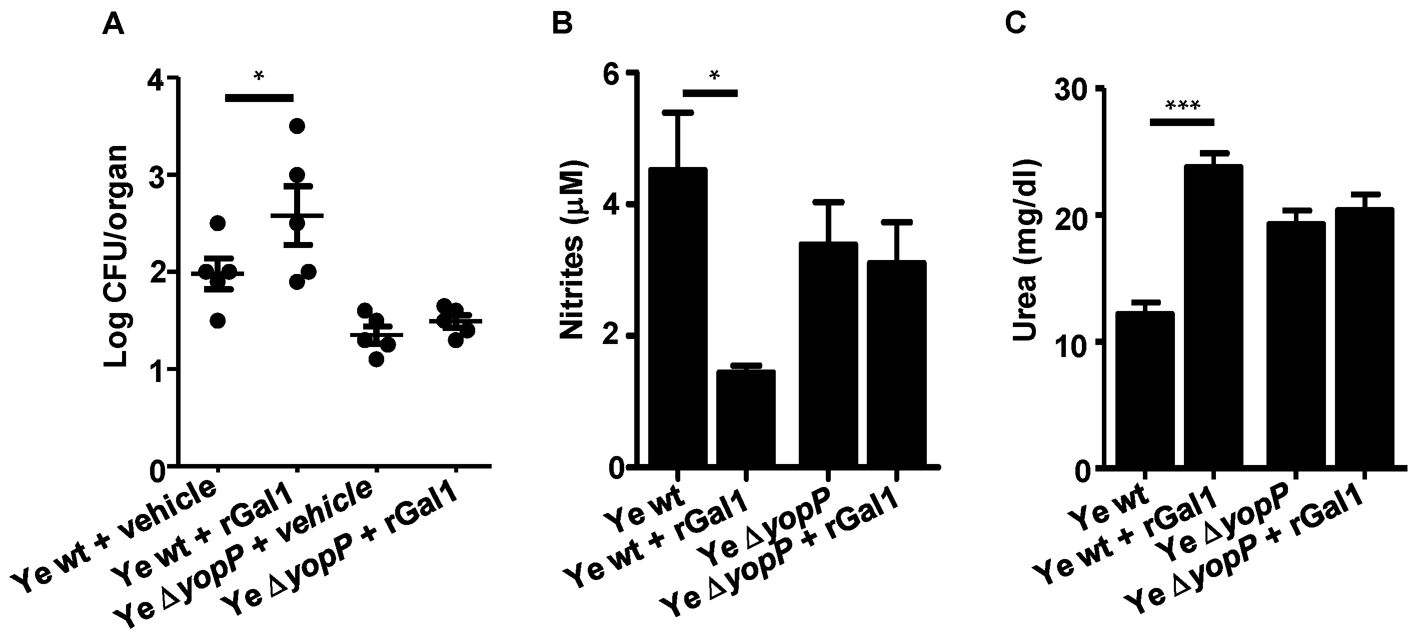 Biomolecules 11 01636 g006