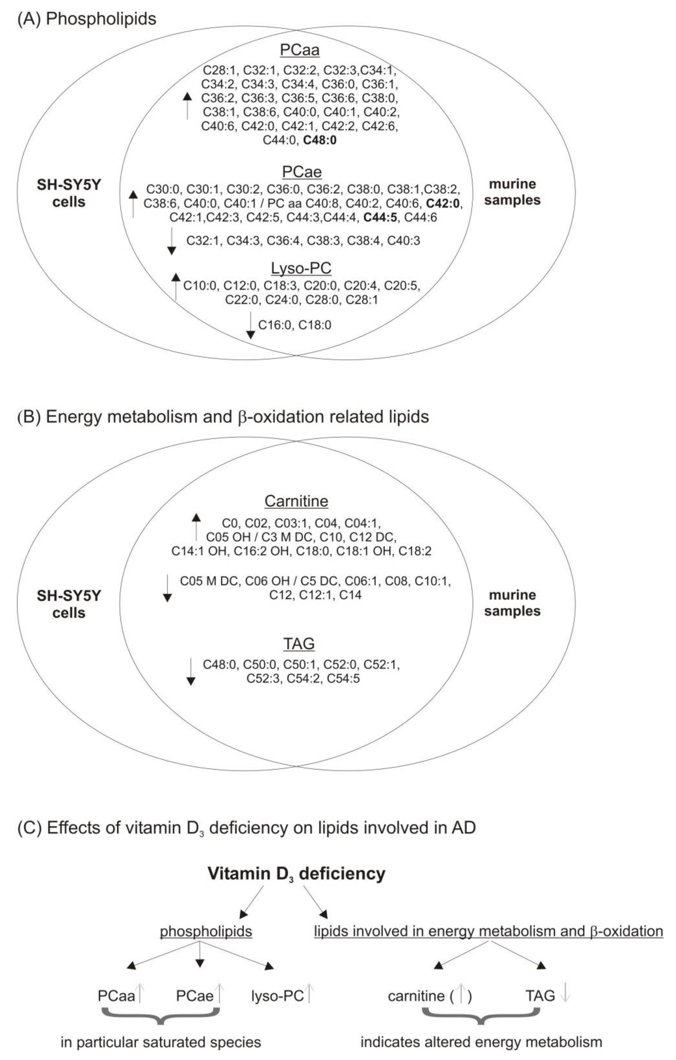 Biomolecules 11 01699 g007
