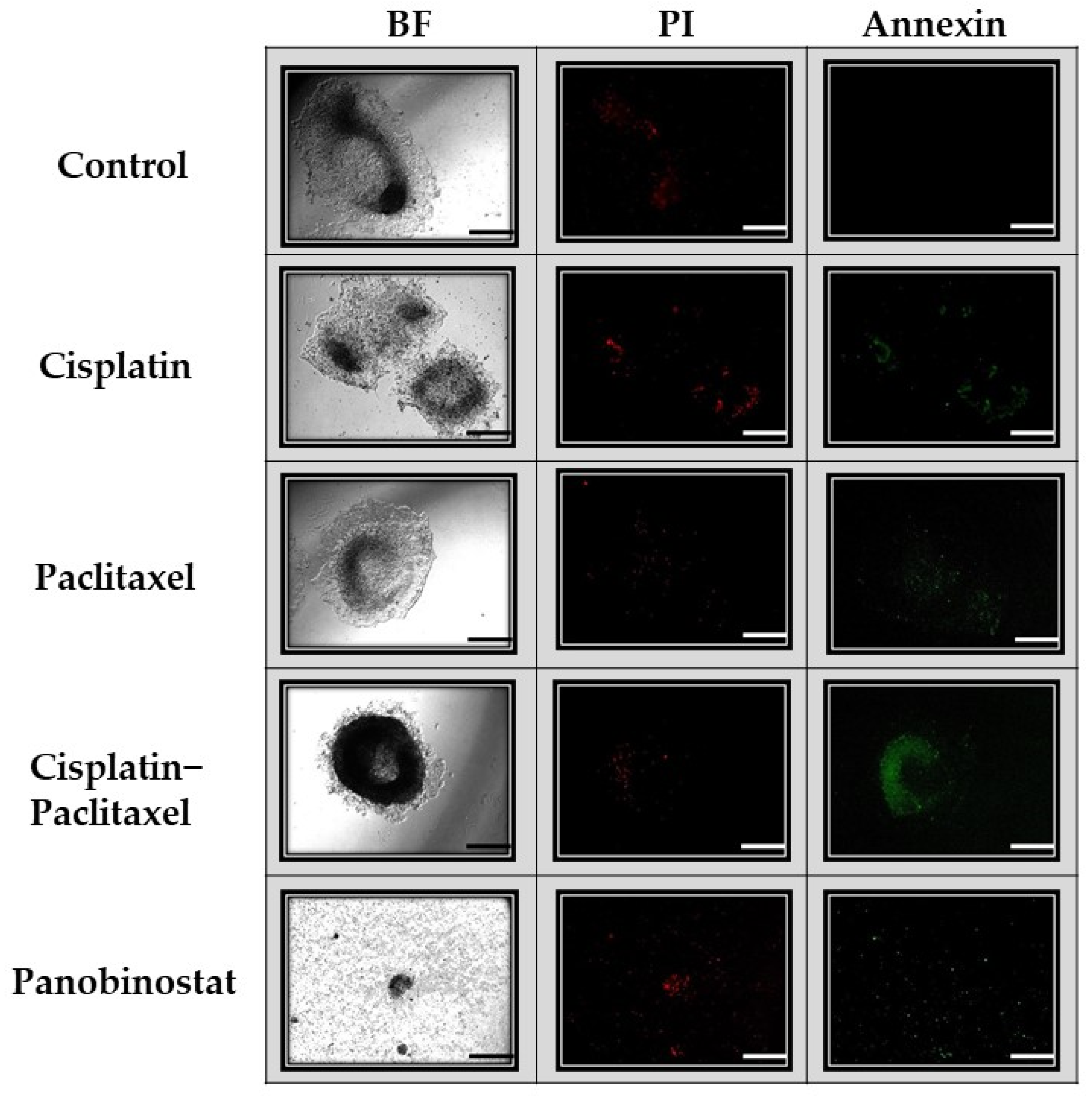 Biomolecules 11 01711 g005