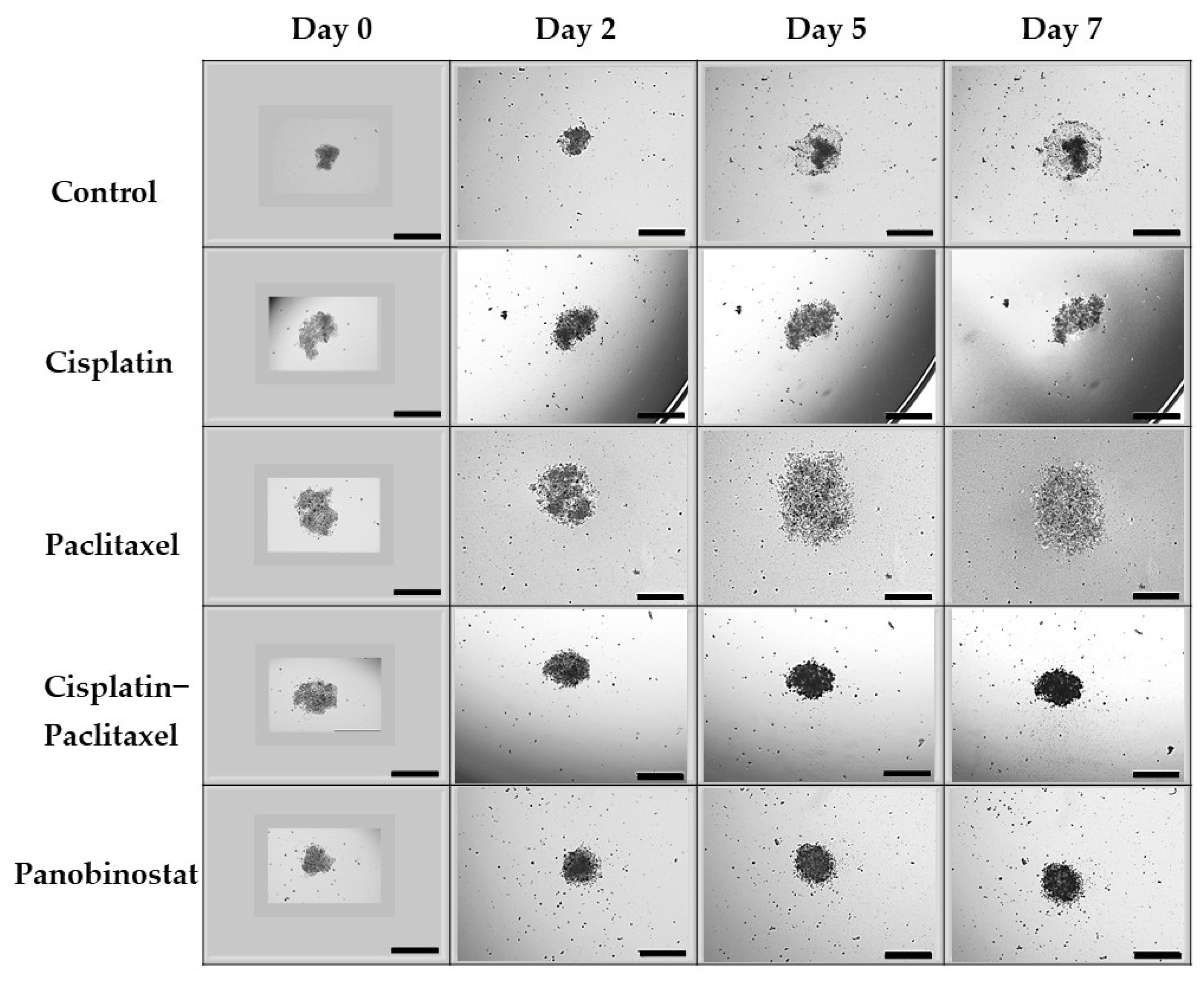 Biomolecules 11 01711 g0a1