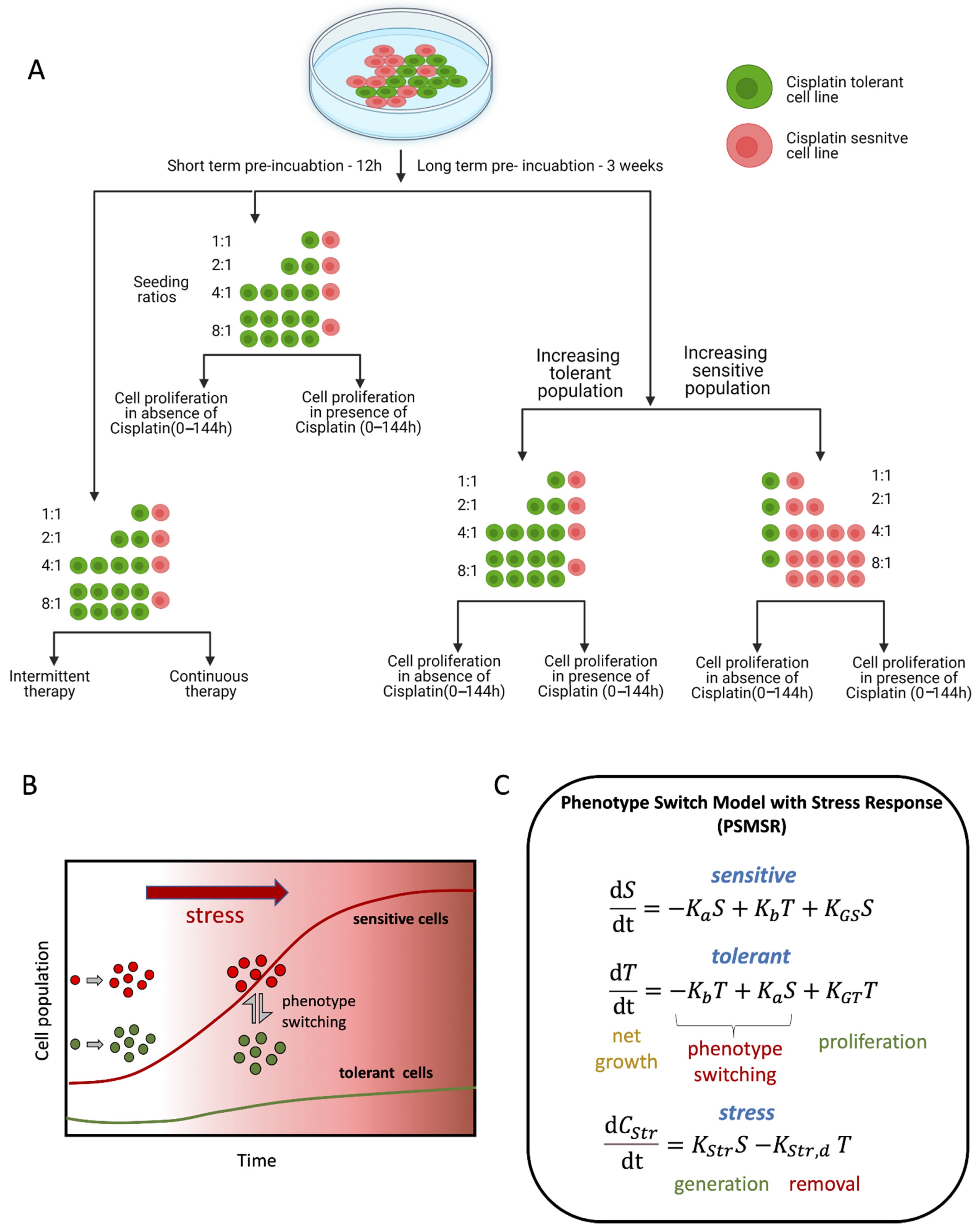 Biomolecules 12 00008 g001