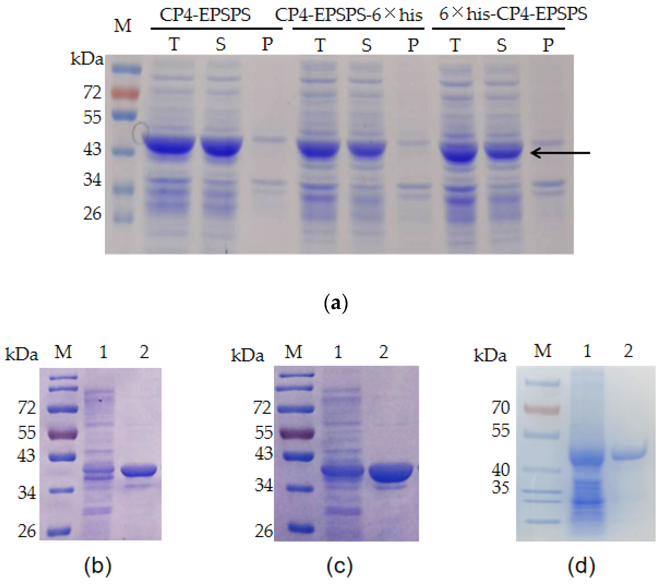 Biomolecules 12 00318 g001