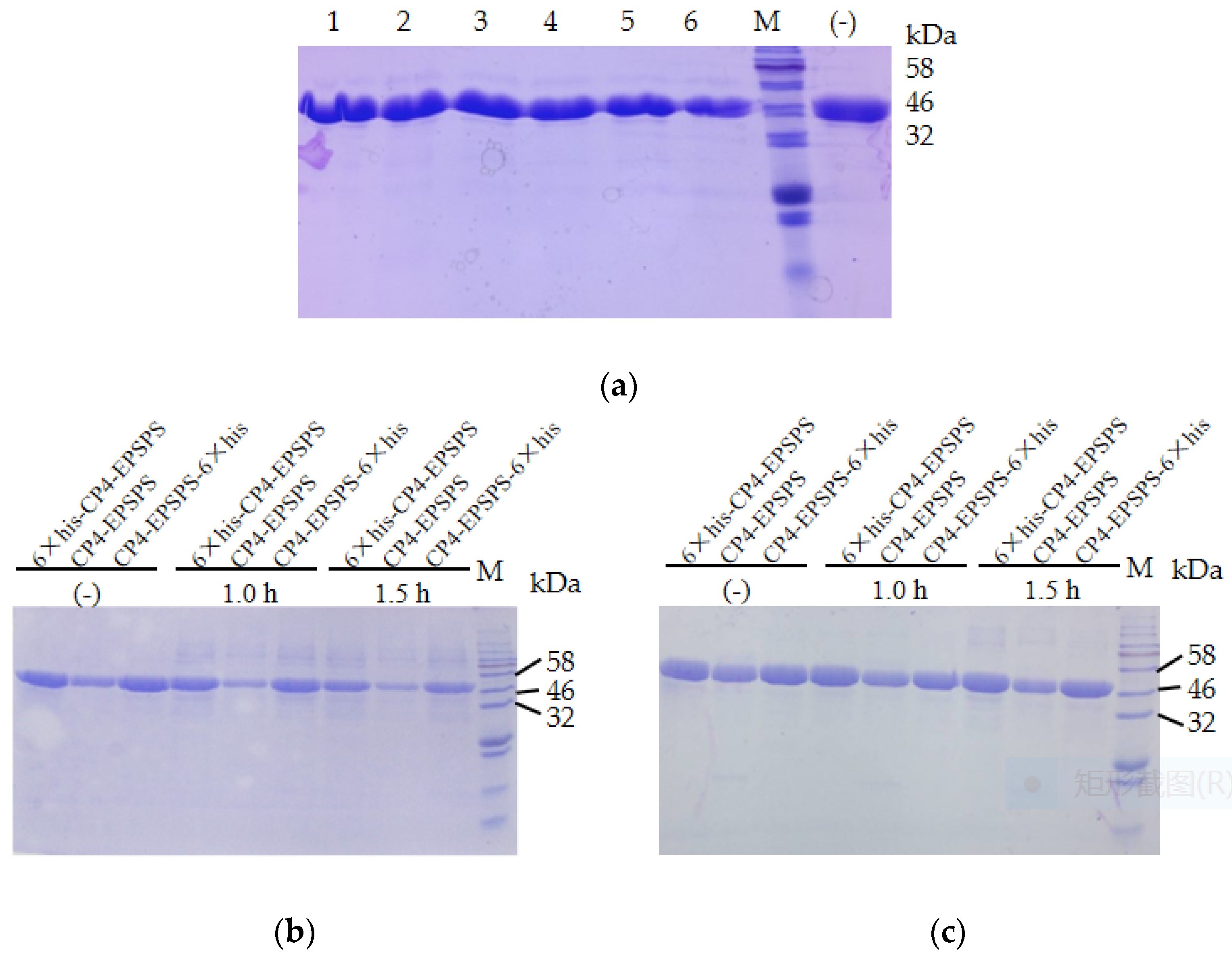 Biomolecules 12 00318 g002