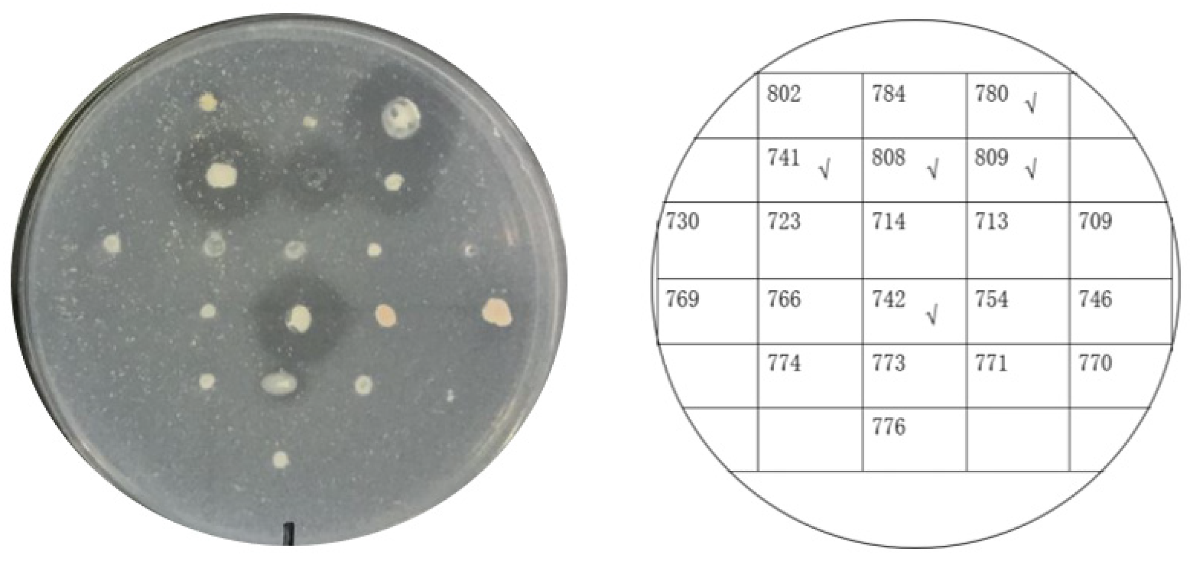 Biomolecules 12 00318 g004