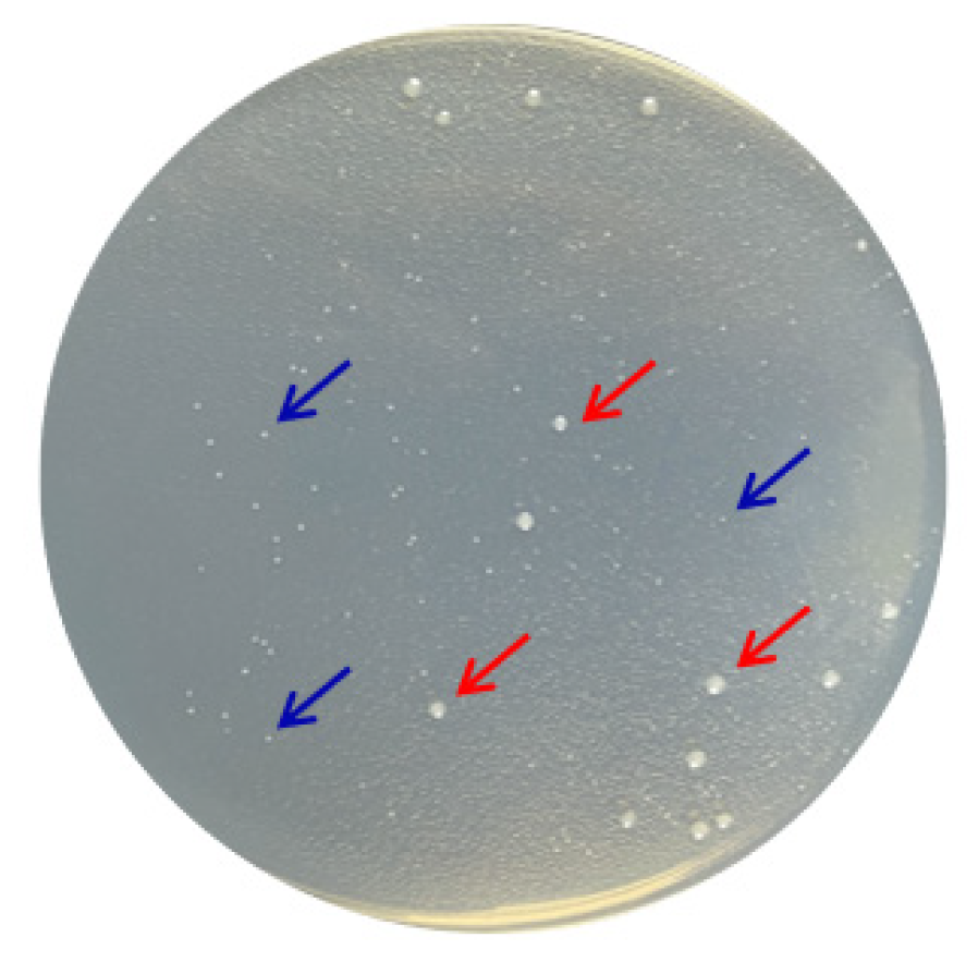 Biomolecules 12 00318 g006