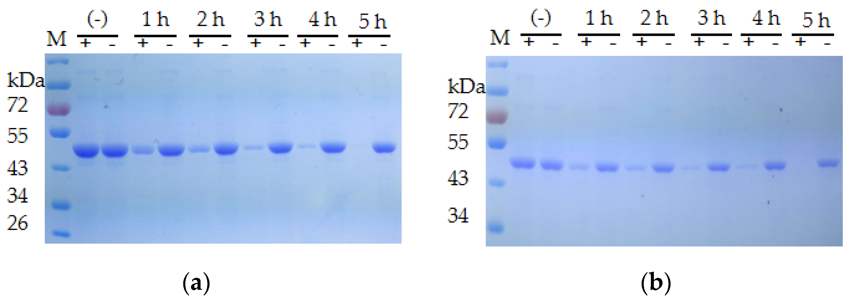 Biomolecules 12 00318 g007
