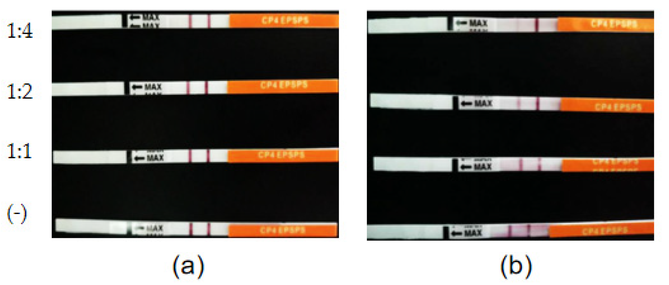 Biomolecules 12 00318 g011