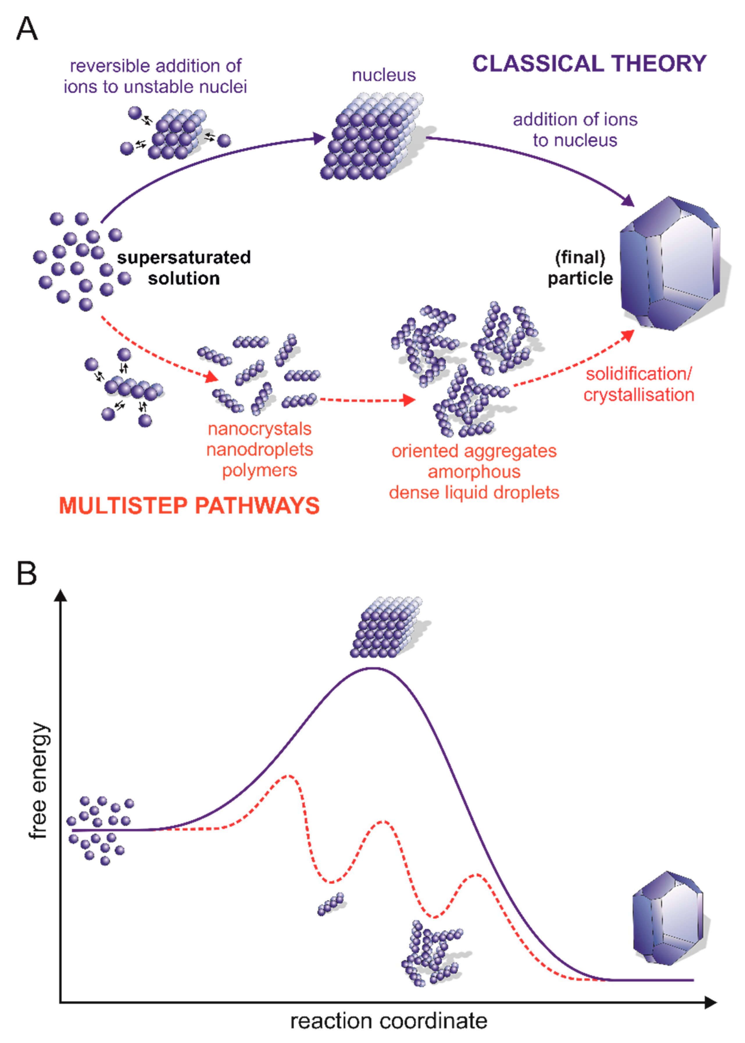 Biomolecules 12 01266 g002