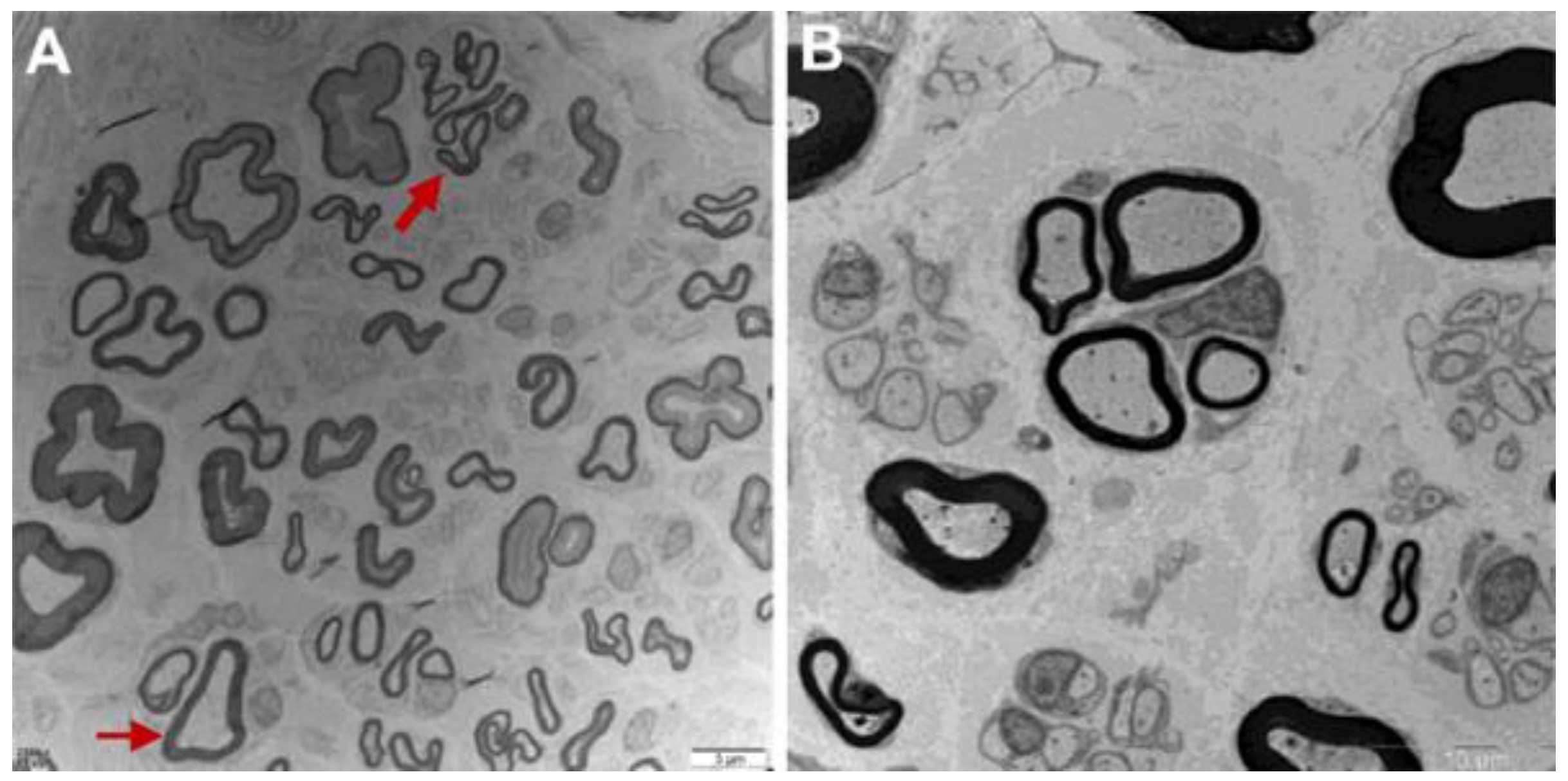 Biomolecules 12 01382 g002