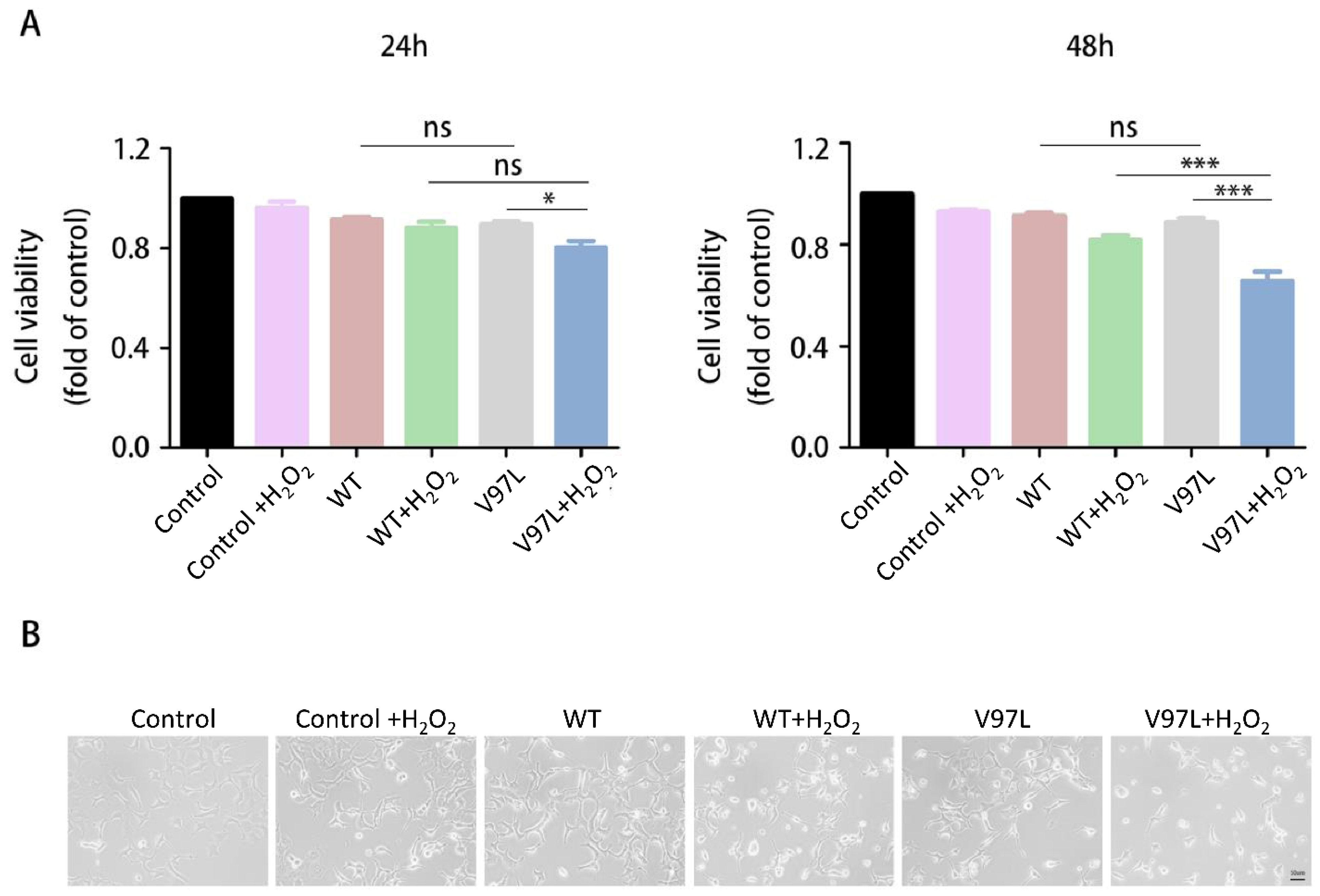 Biomolecules 12 01382 g003