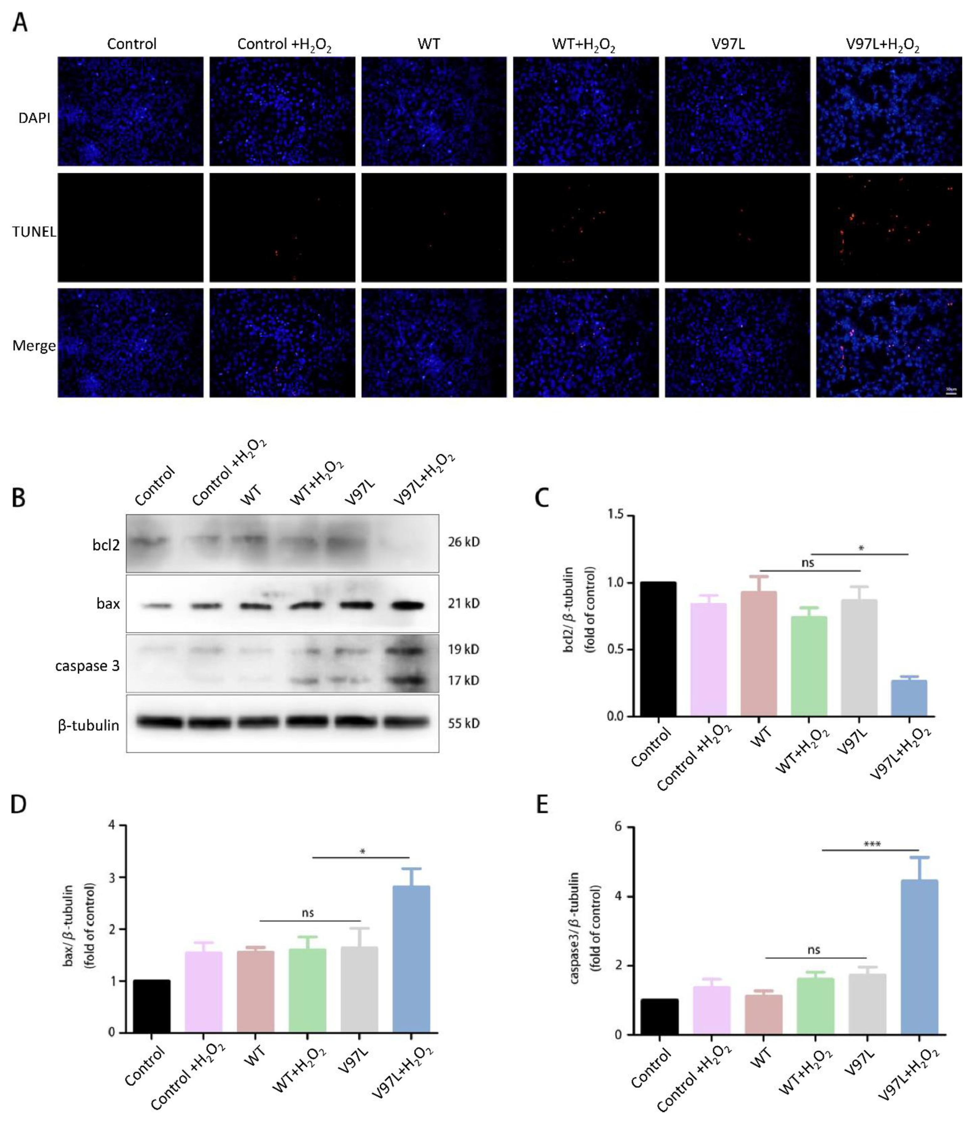 Biomolecules 12 01382 g004