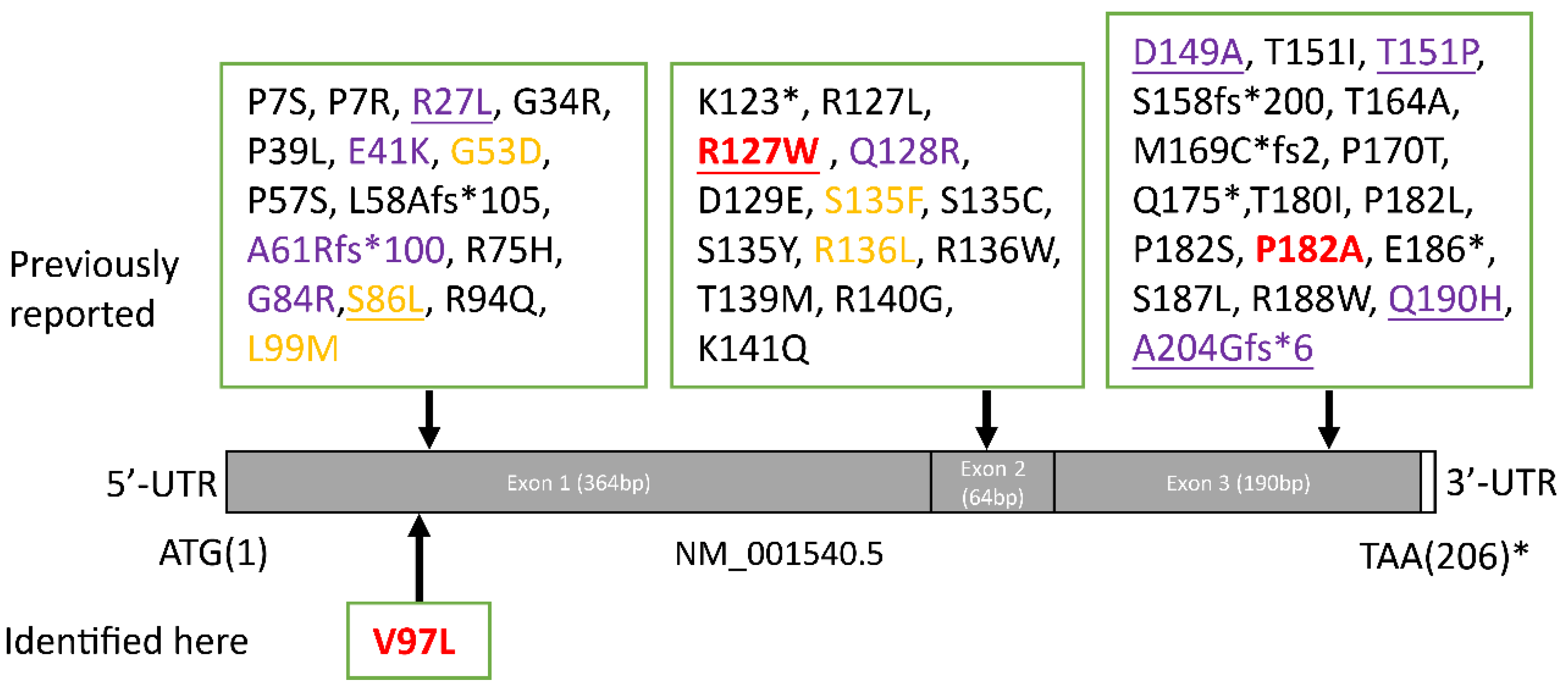 Biomolecules 12 01382 g005