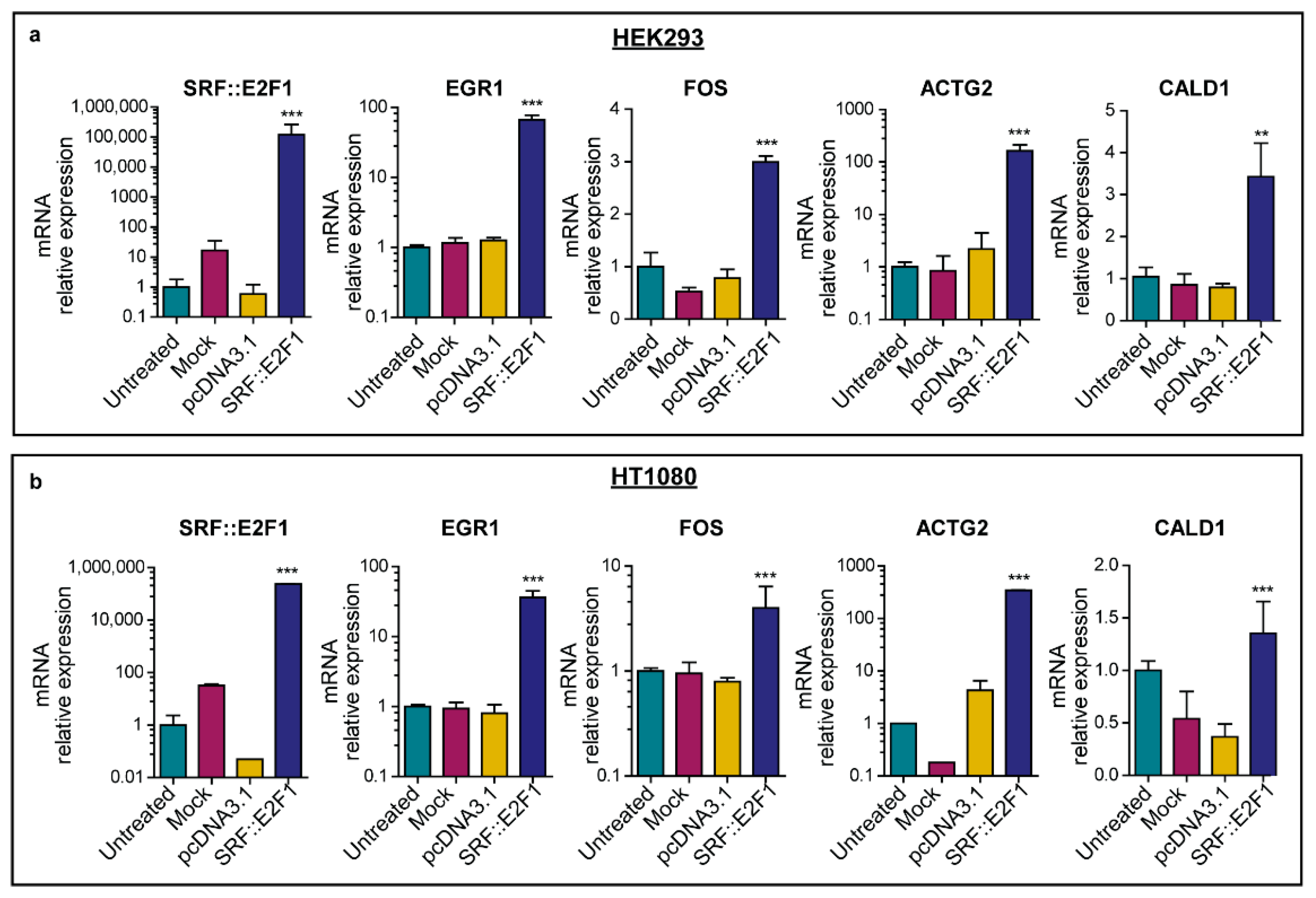 Biomolecules 12 01678 g004