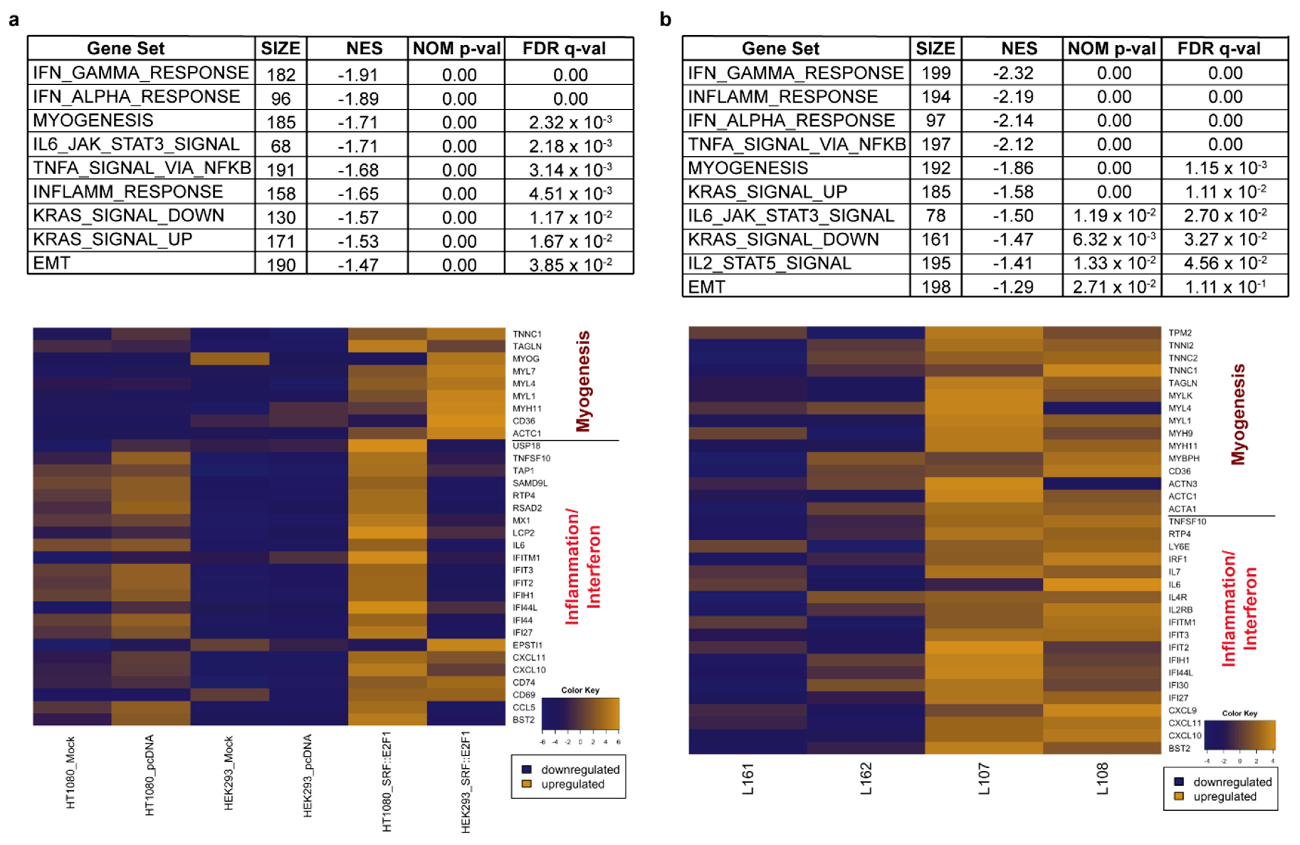 Biomolecules 12 01678 g005