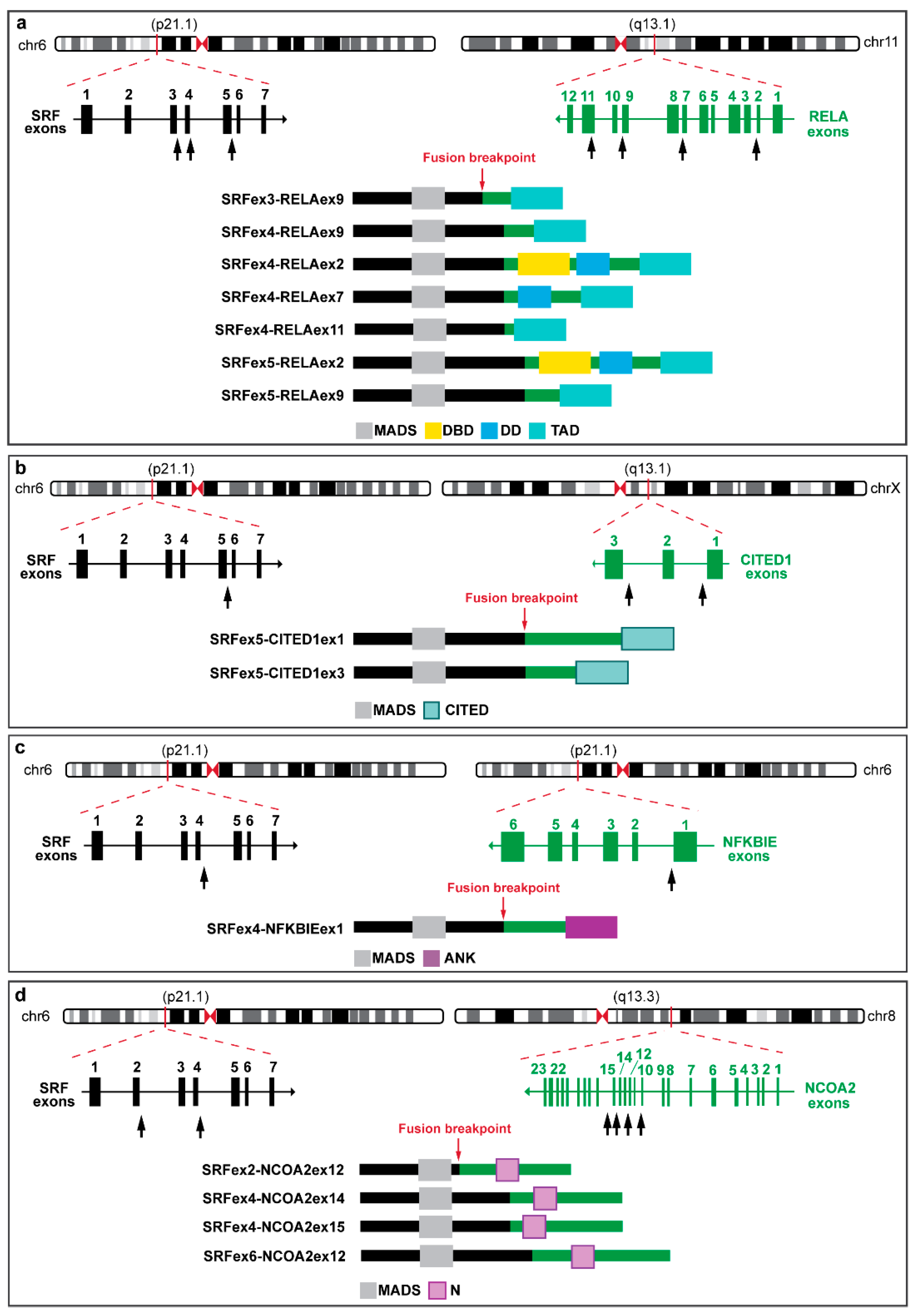 Biomolecules 12 01678 g006