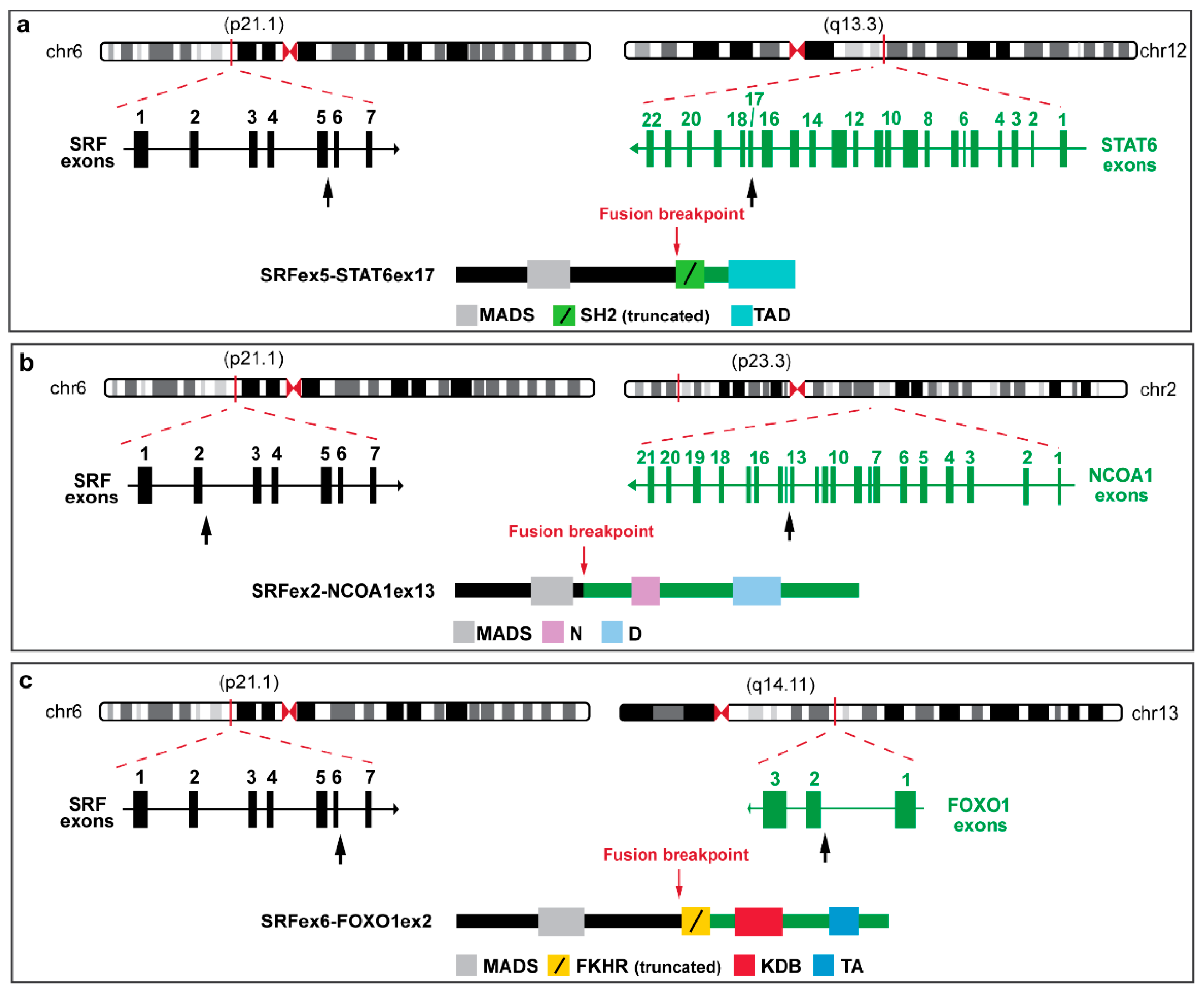 Biomolecules 12 01678 g007