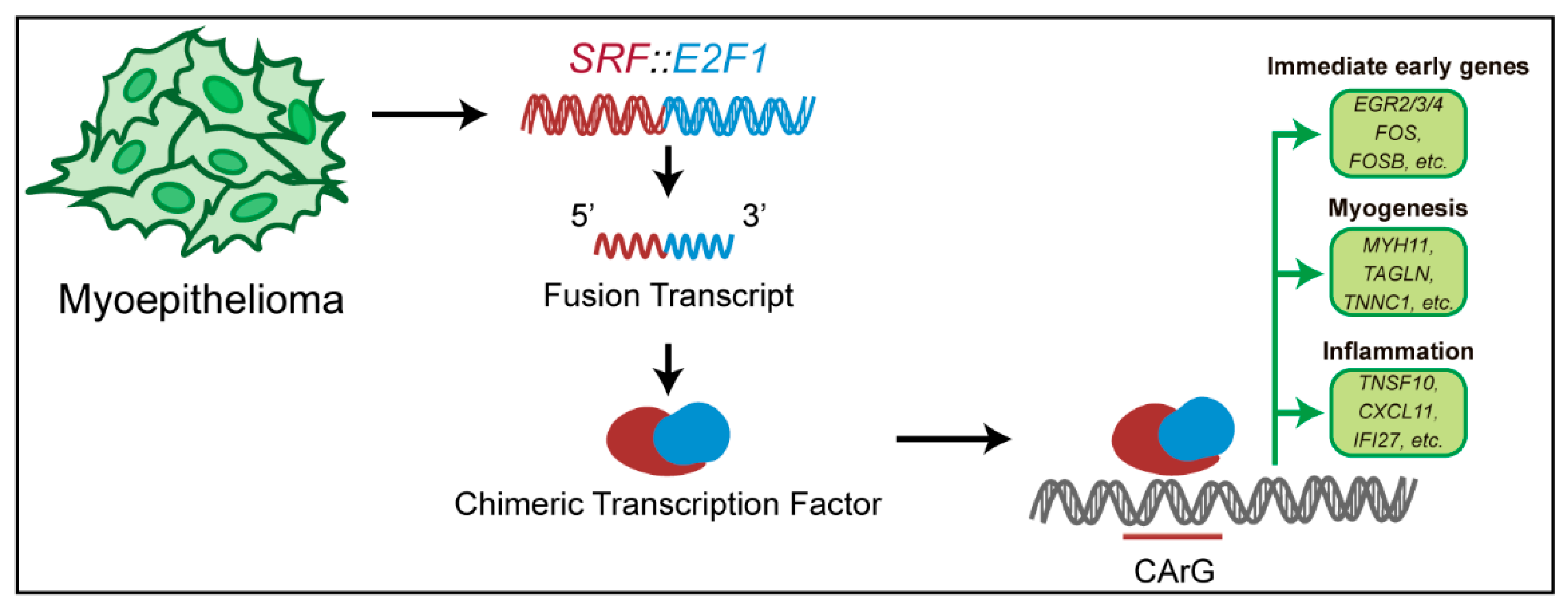 Biomolecules 12 01678 g008