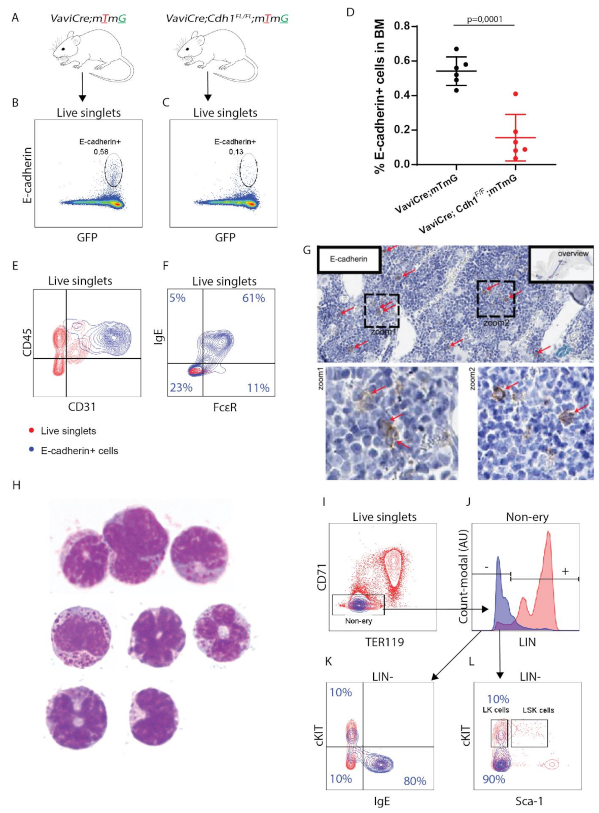 Biomolecules 12 01706 g001