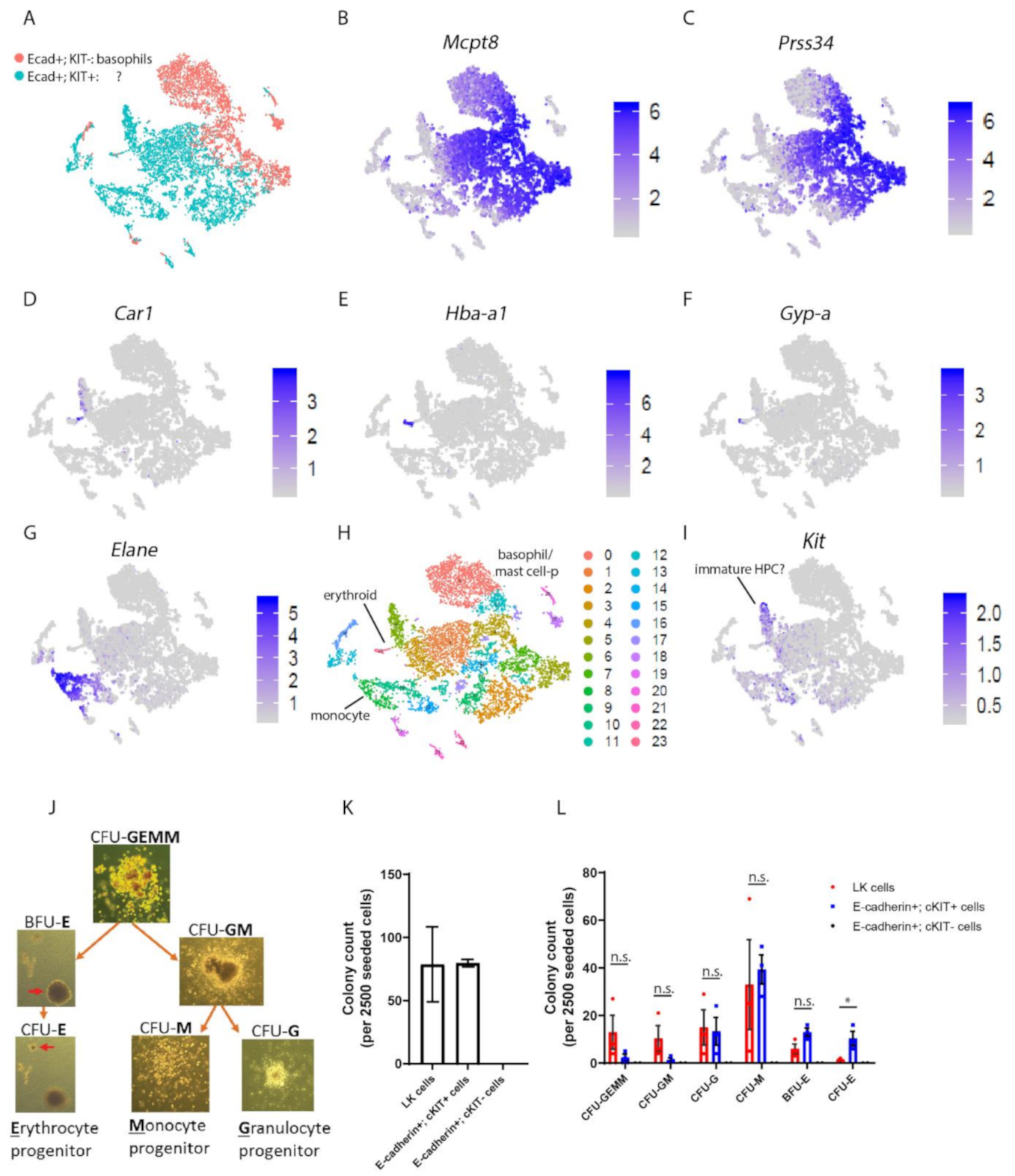Biomolecules 12 01706 g002