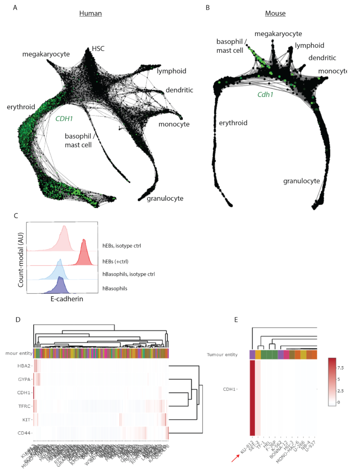 Biomolecules 12 01706 g004