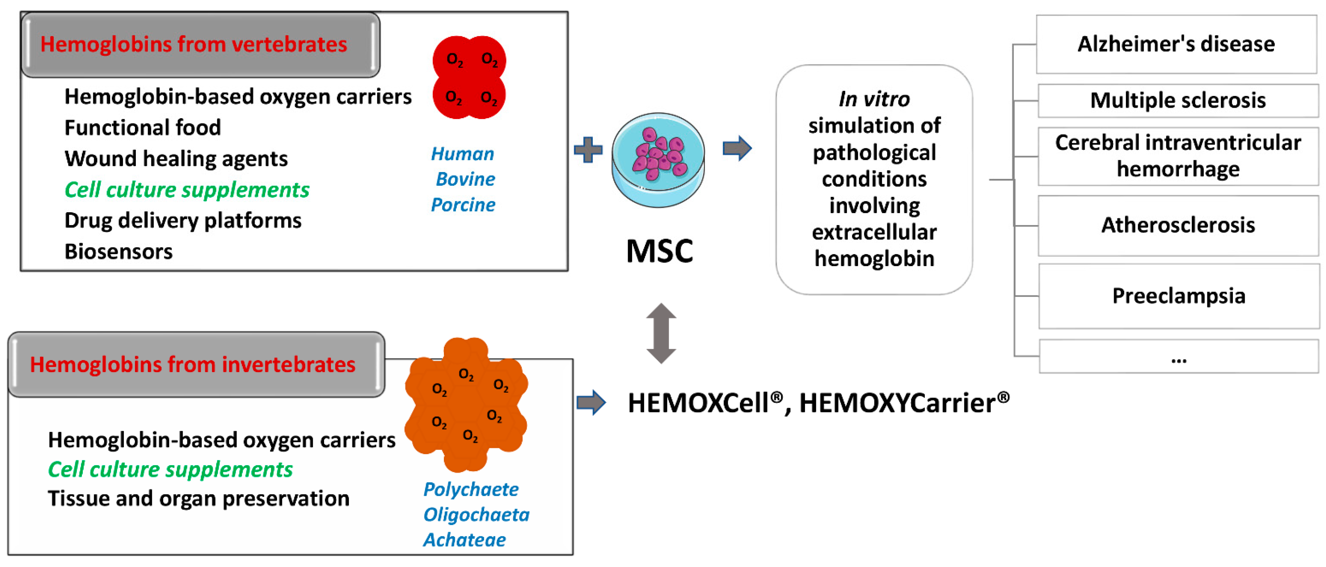 Biomolecules 12 01708 g002
