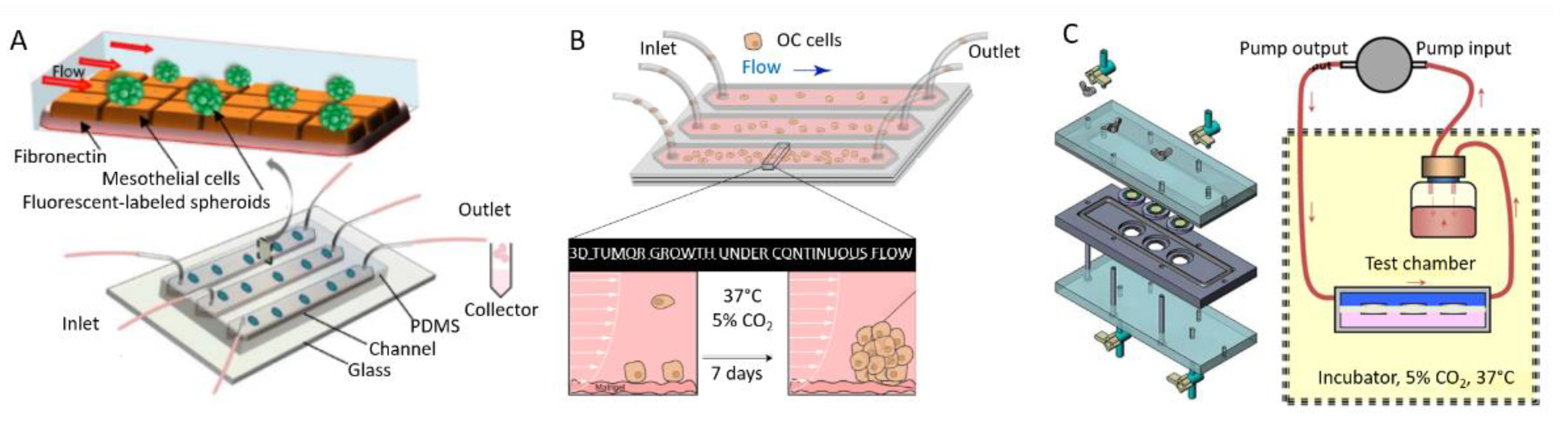 Biomolecules 13 00103 g010 Biomolecules 13 00103 g010