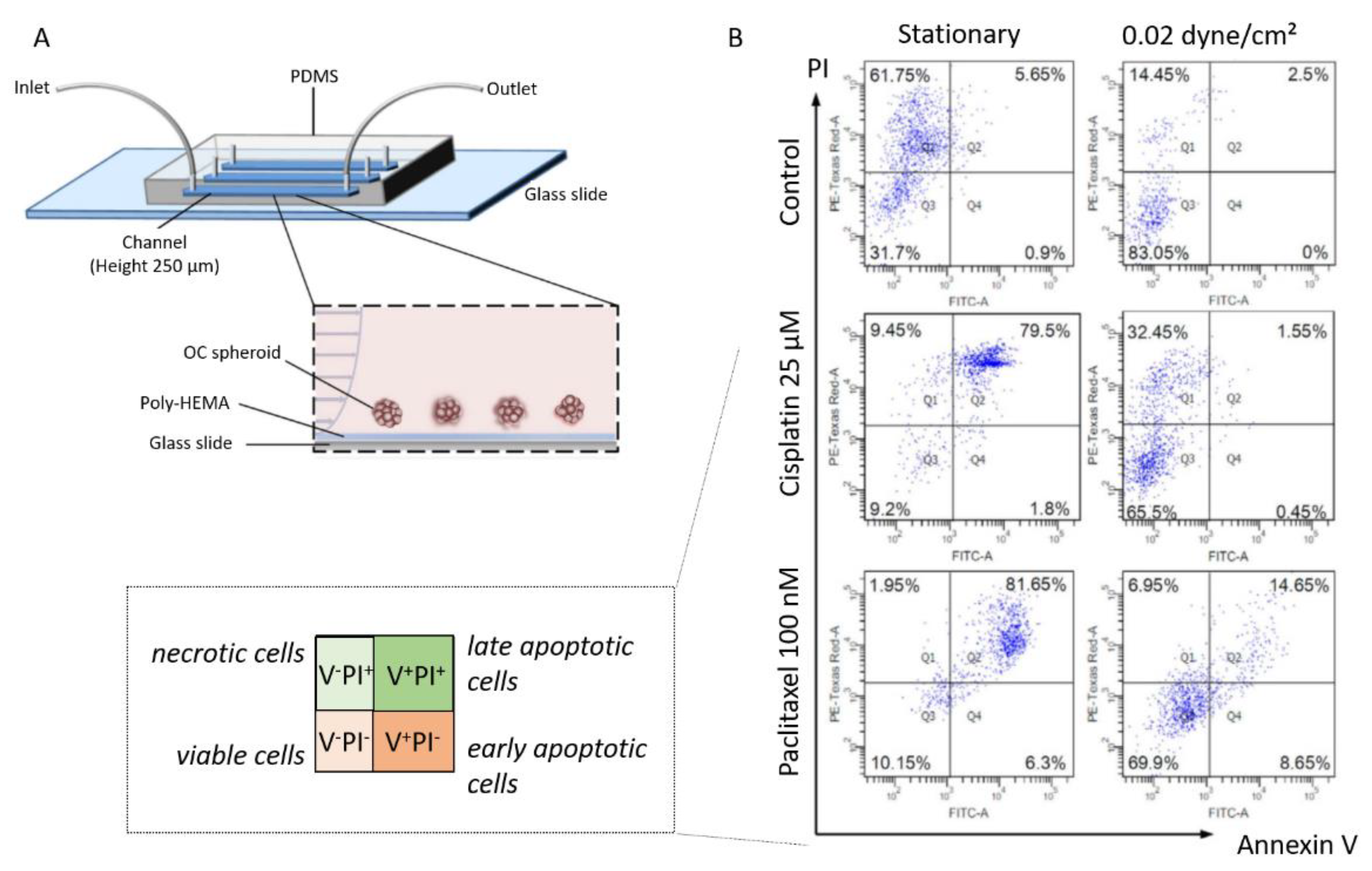 Biomolecules 13 00103 g012 Biomolecules 13 00103 g012