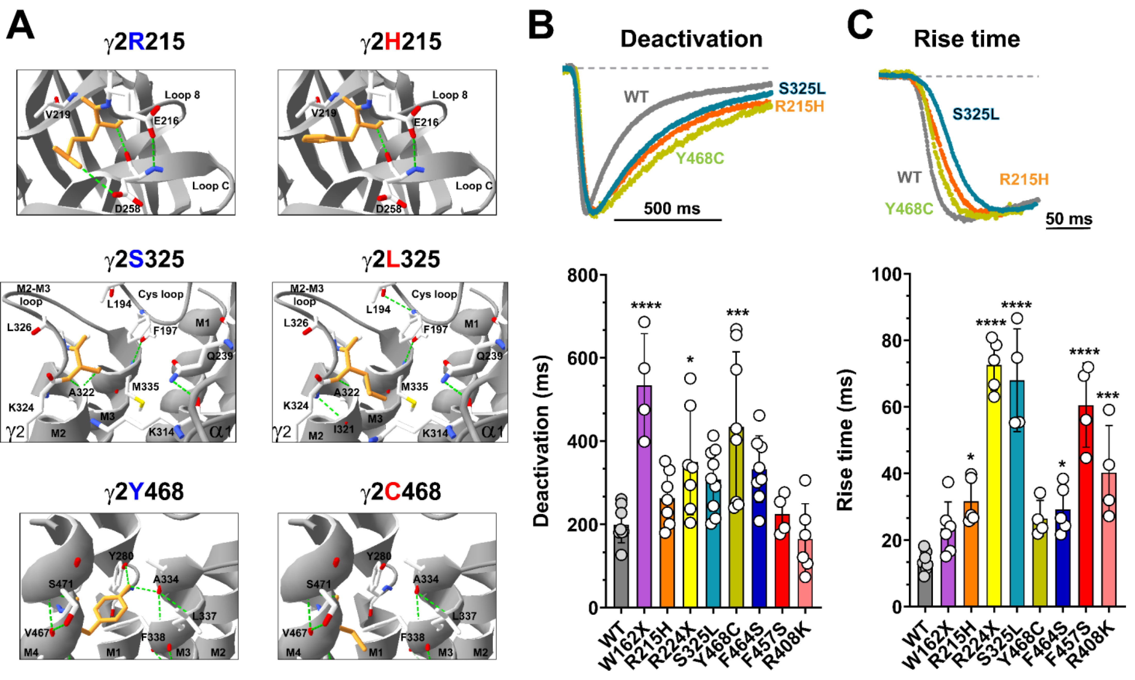 Biomolecules 13 00414 g003