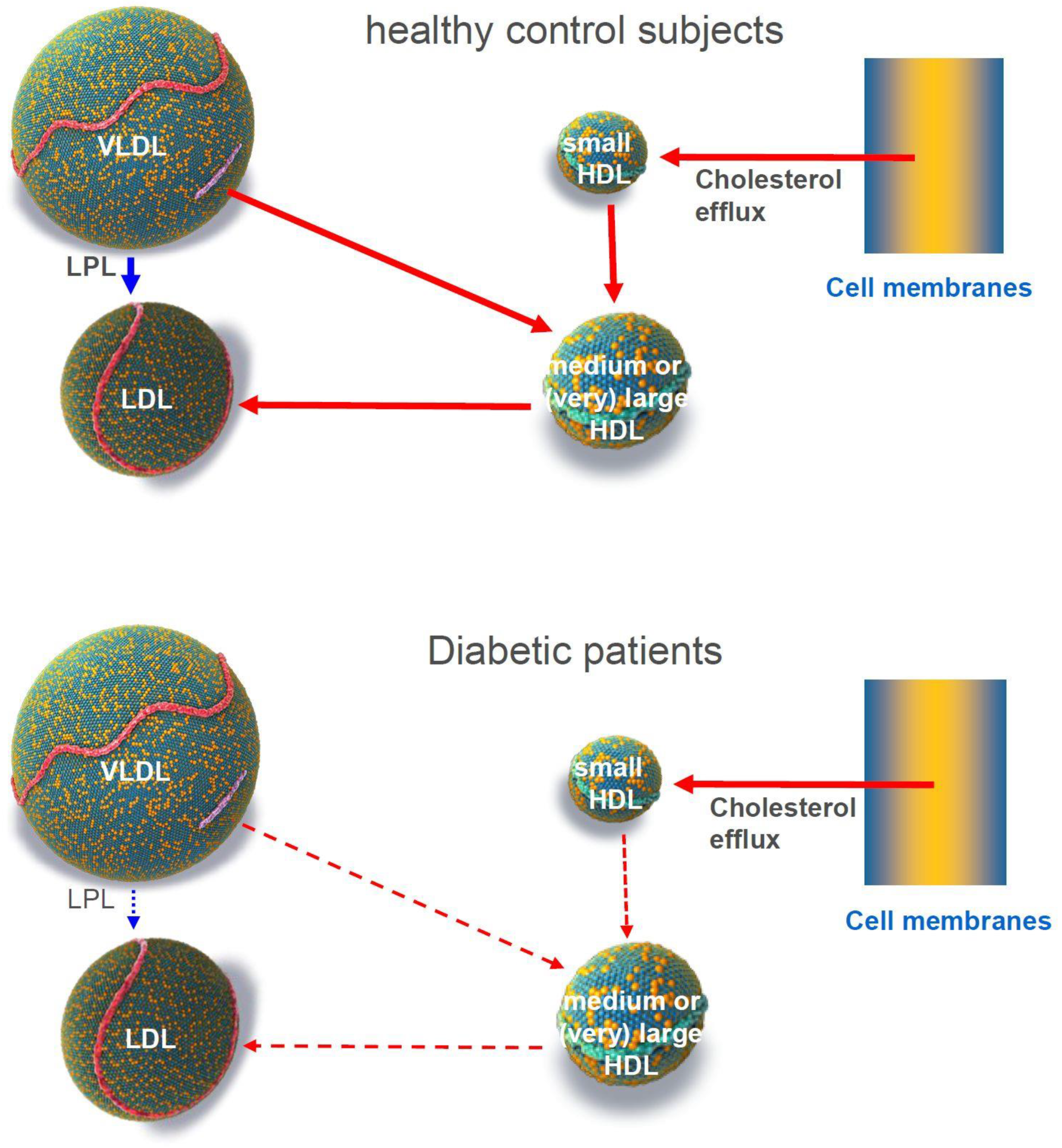 Biomolecules 13 00497 g008