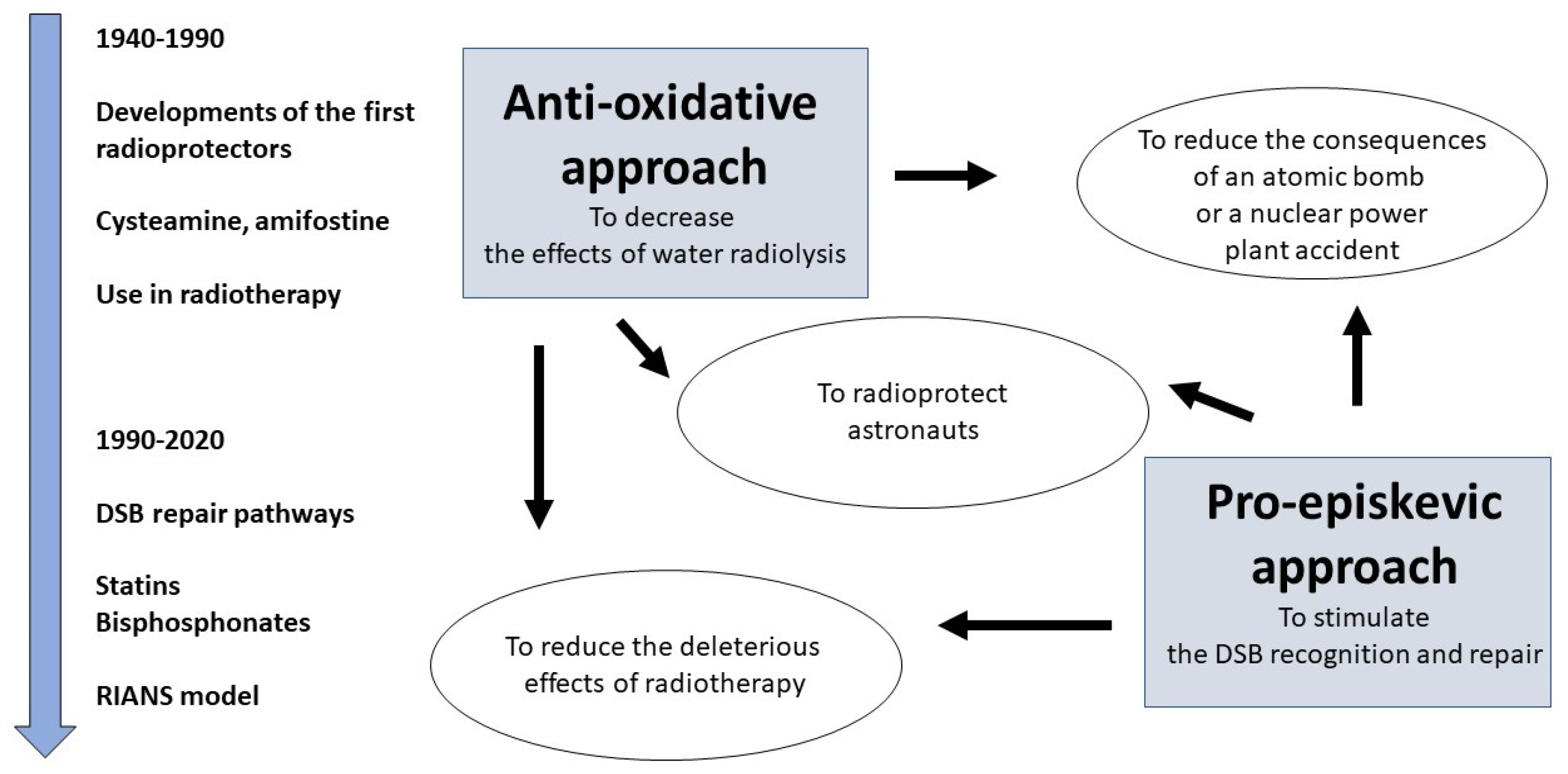 Biomolecules 13 00524 g001