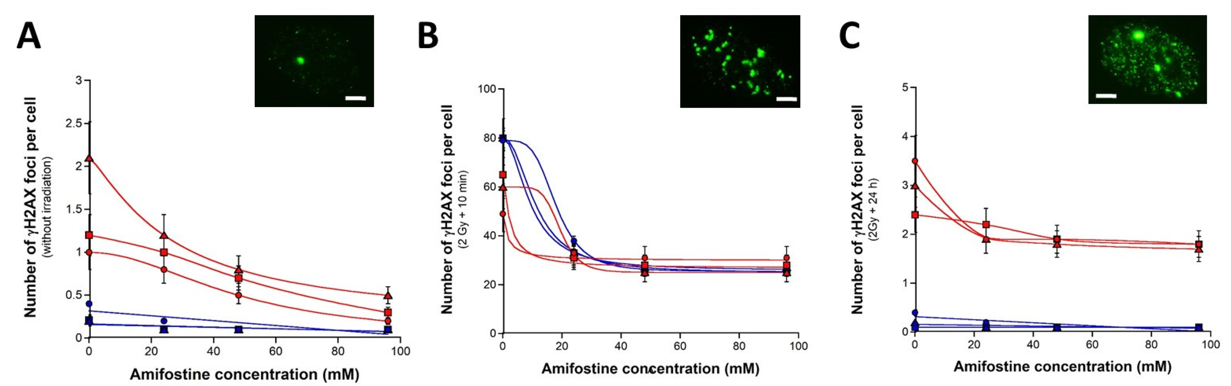 Biomolecules 13 00524 g003