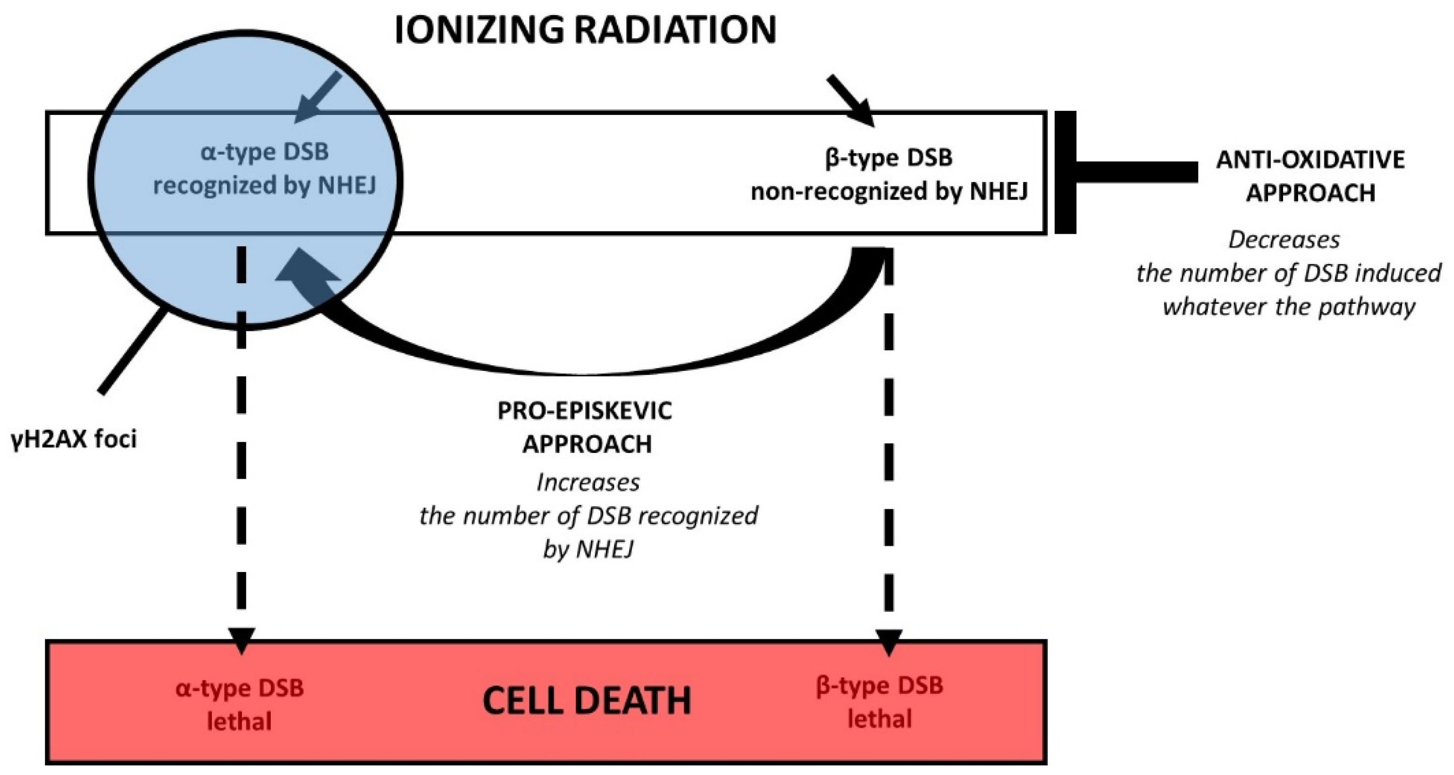 Biomolecules 13 00524 g008