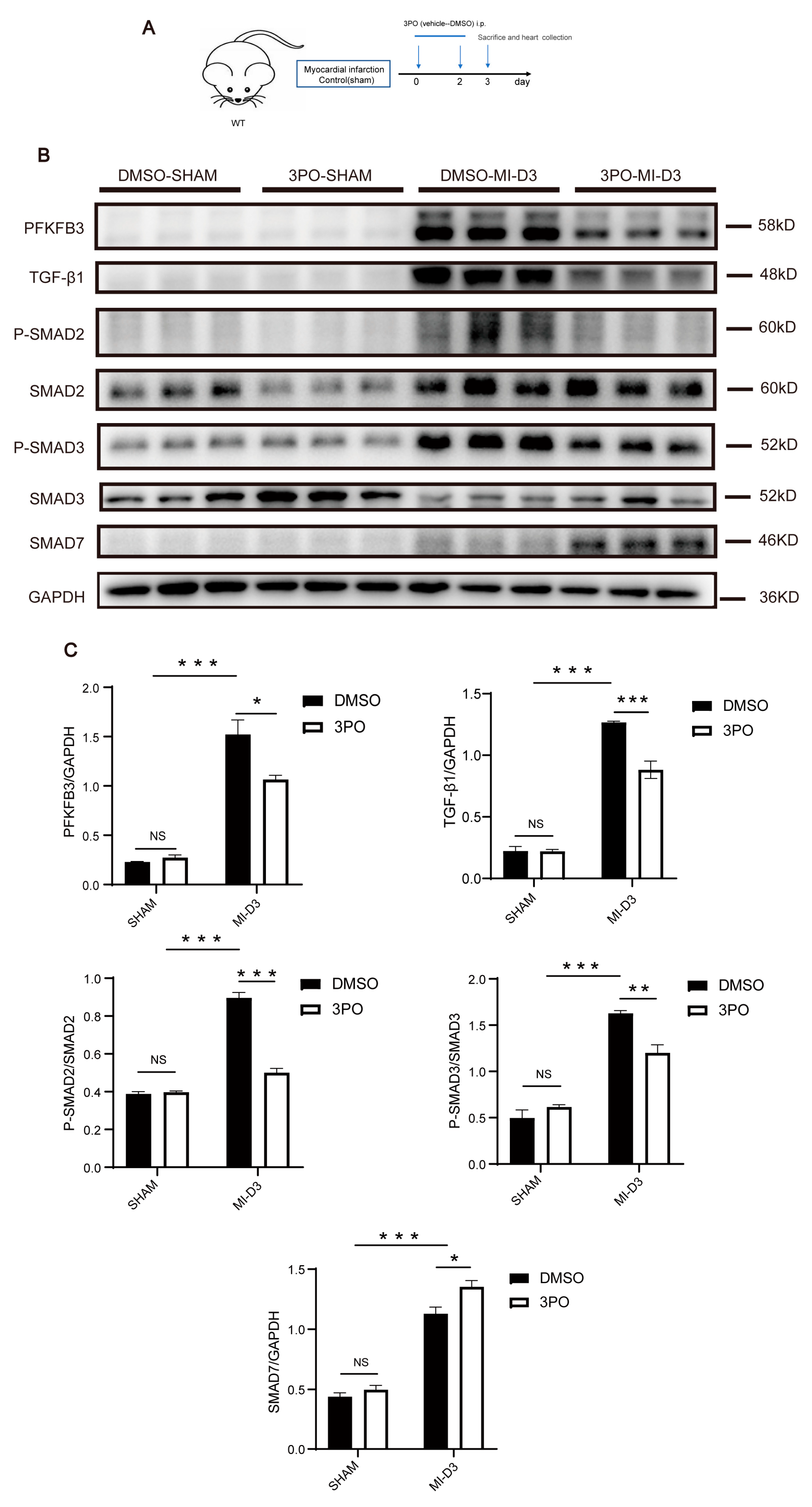 Biomolecules 13 01072 g004