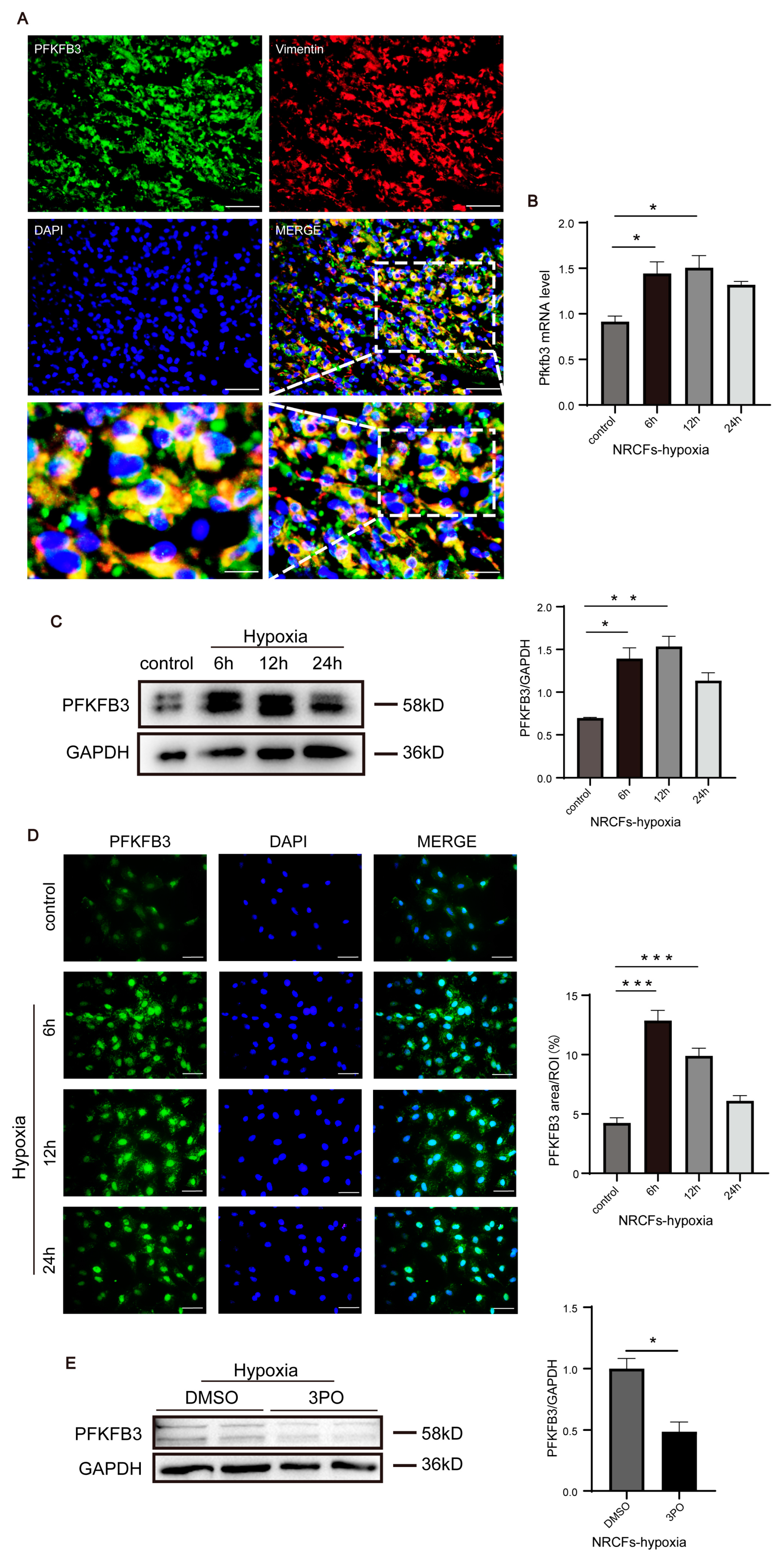 Biomolecules 13 01072 g005
