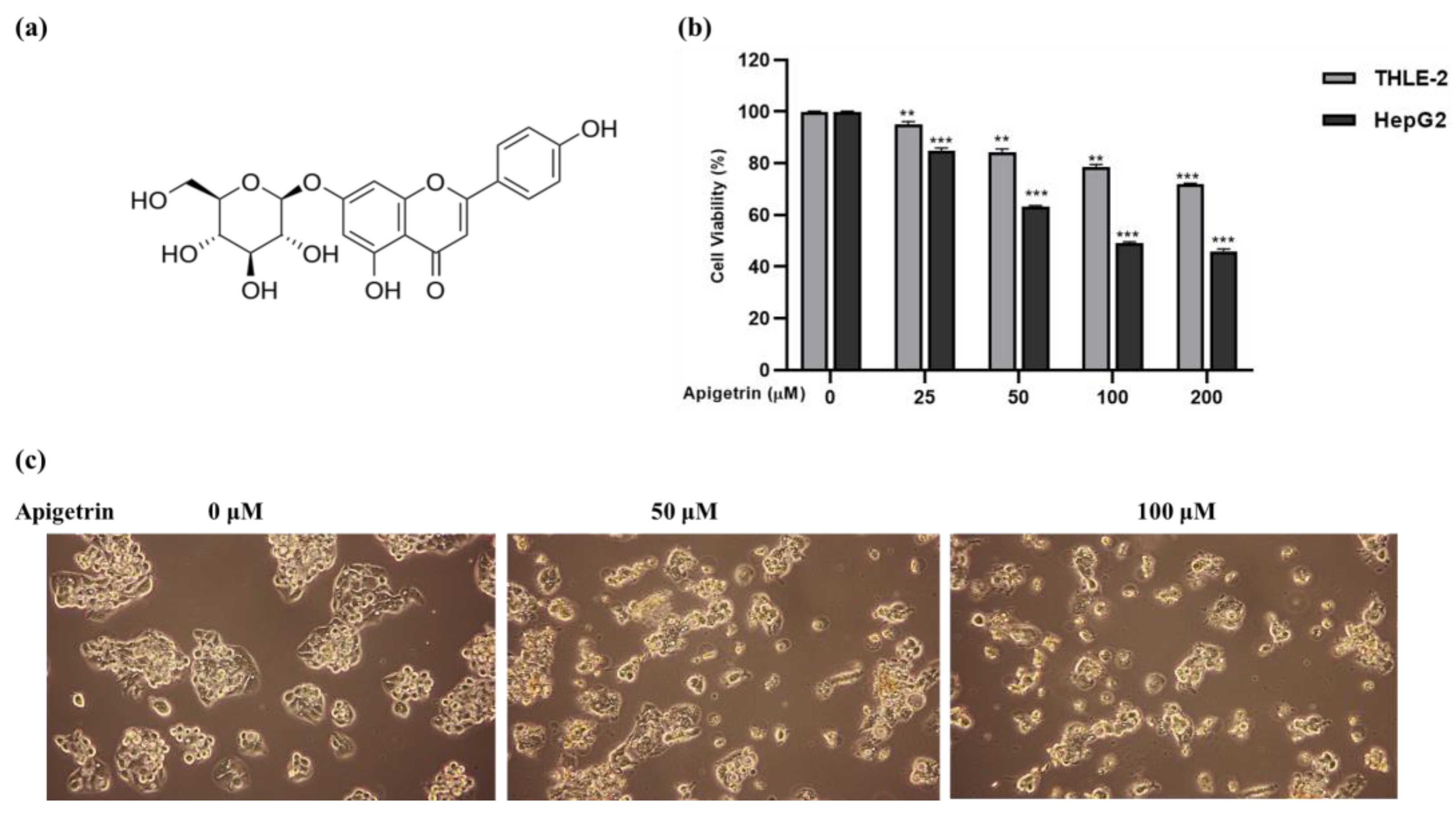 Biomolecules 13 01131 g001