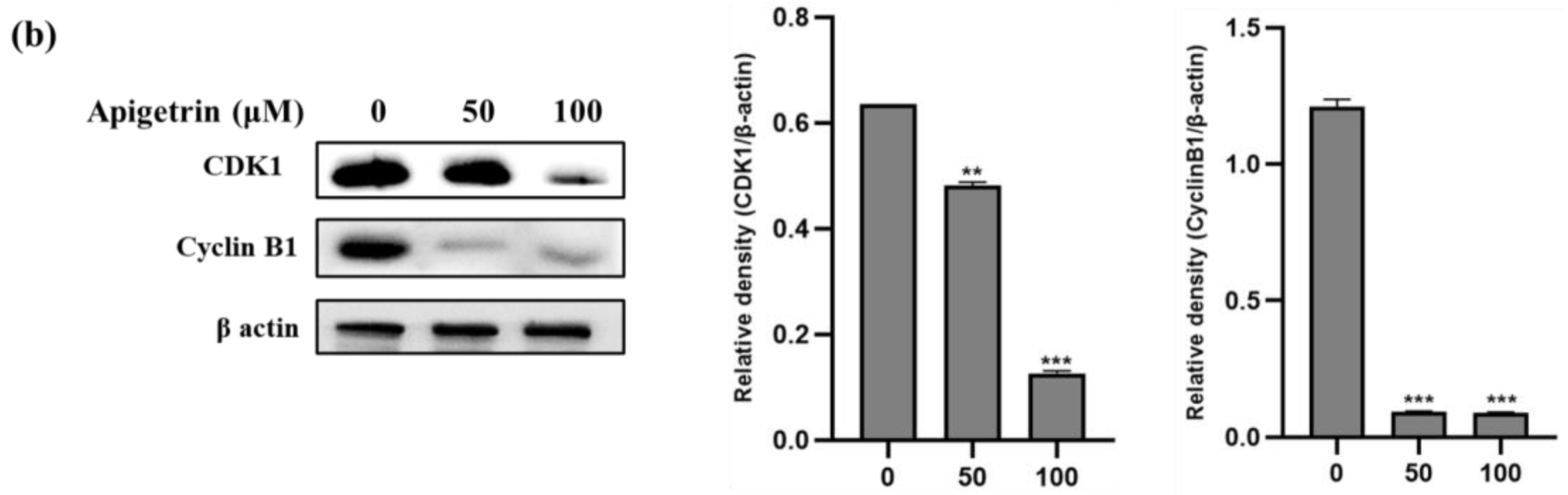 Biomolecules 13 01131 g003b