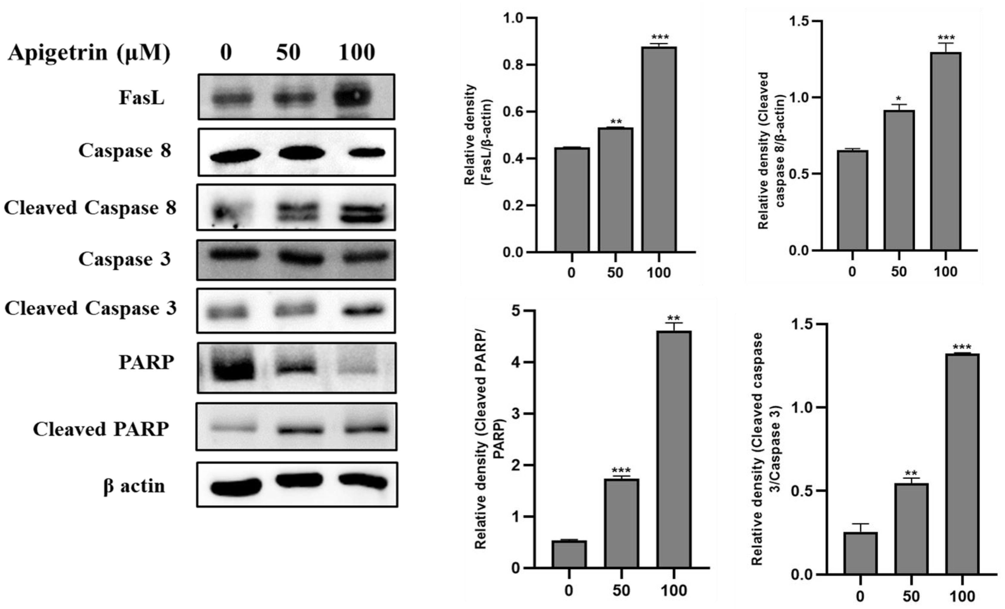 Biomolecules 13 01131 g005
