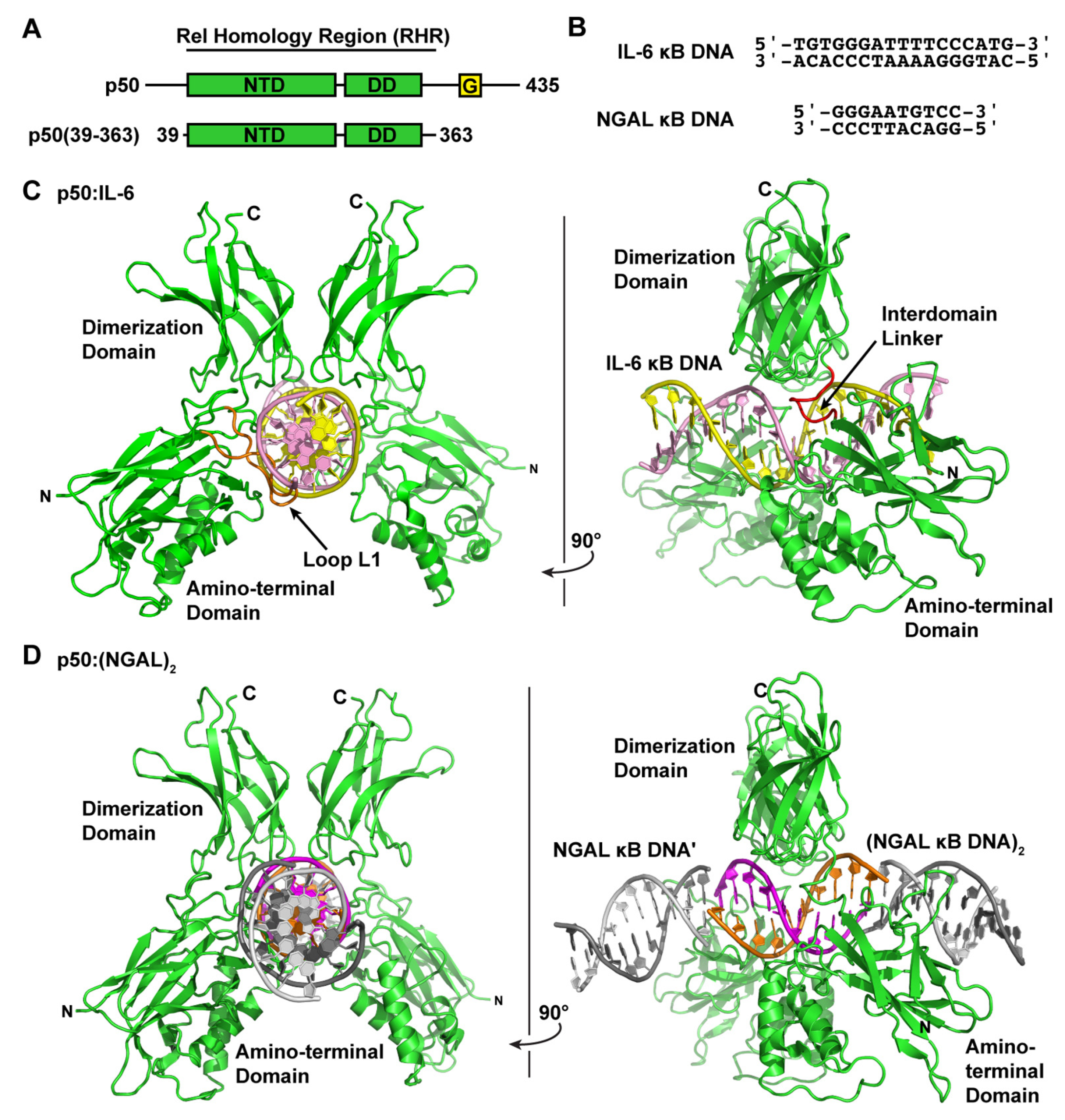 Biomolecules 13 01310 g001