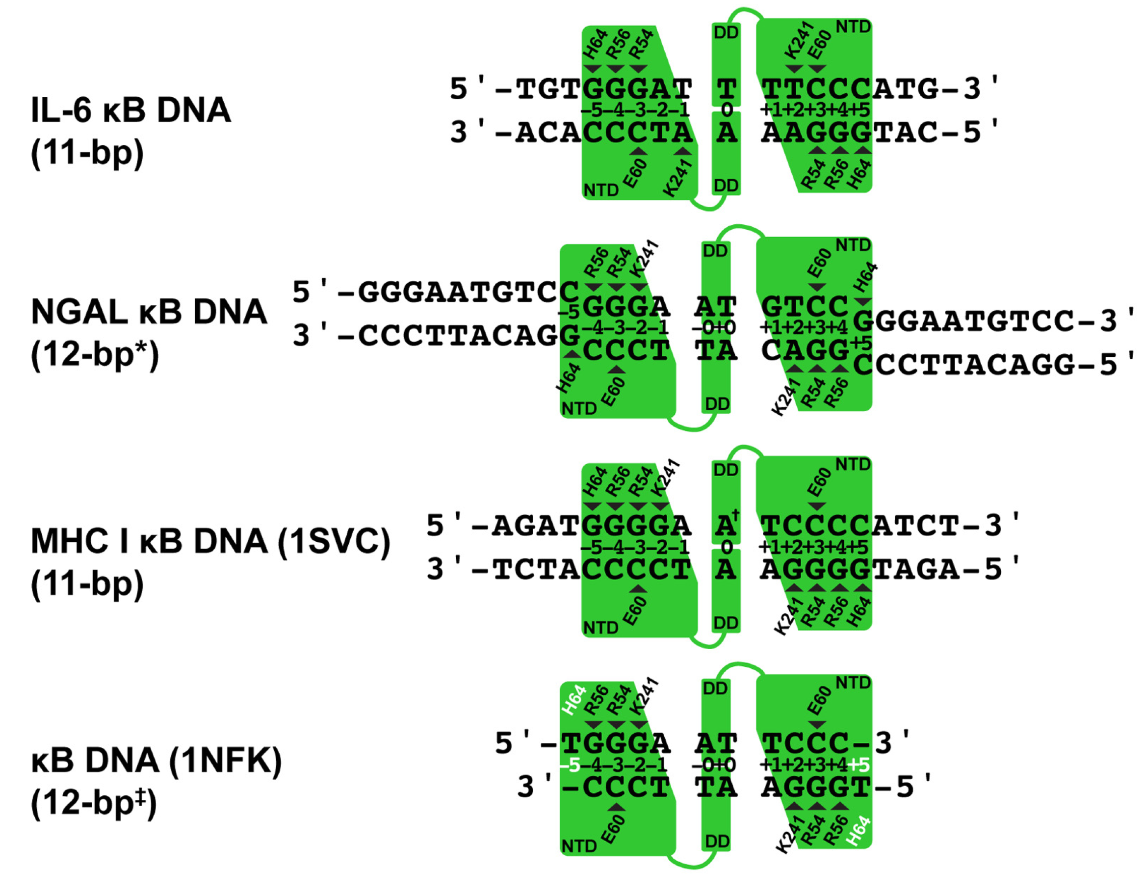 Biomolecules 13 01310 g002