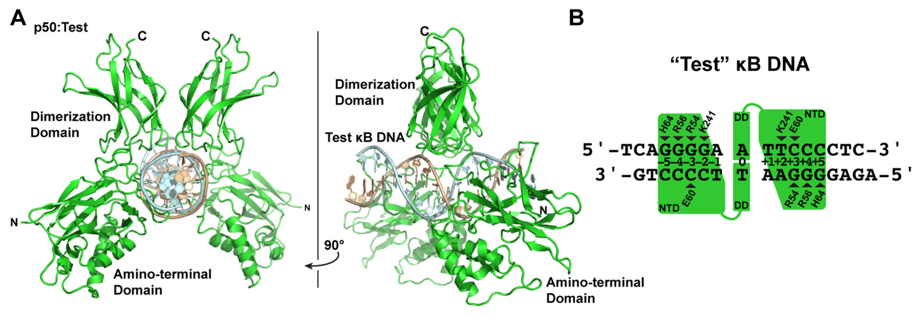 Biomolecules 13 01310 g003