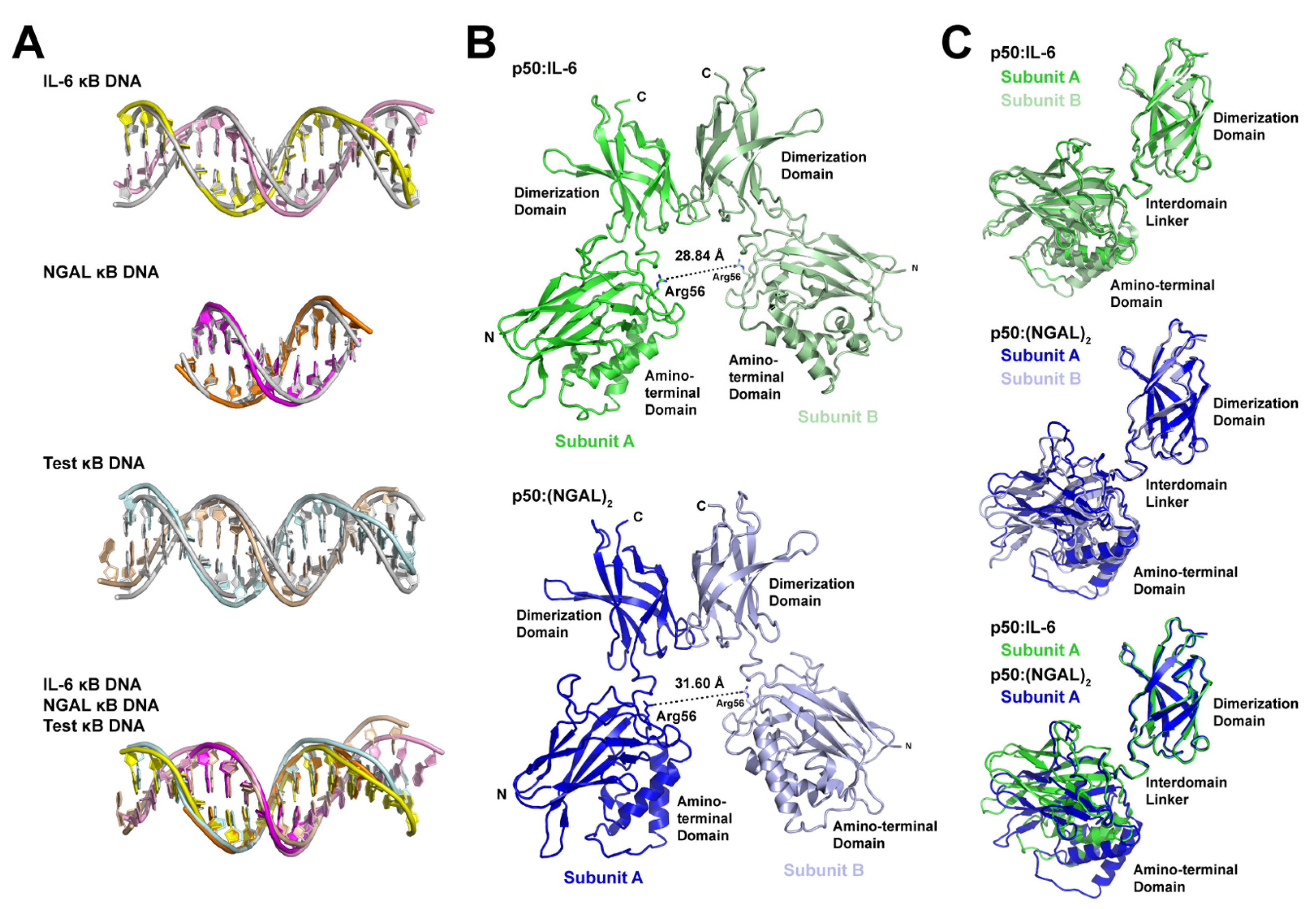 Biomolecules 13 01310 g004