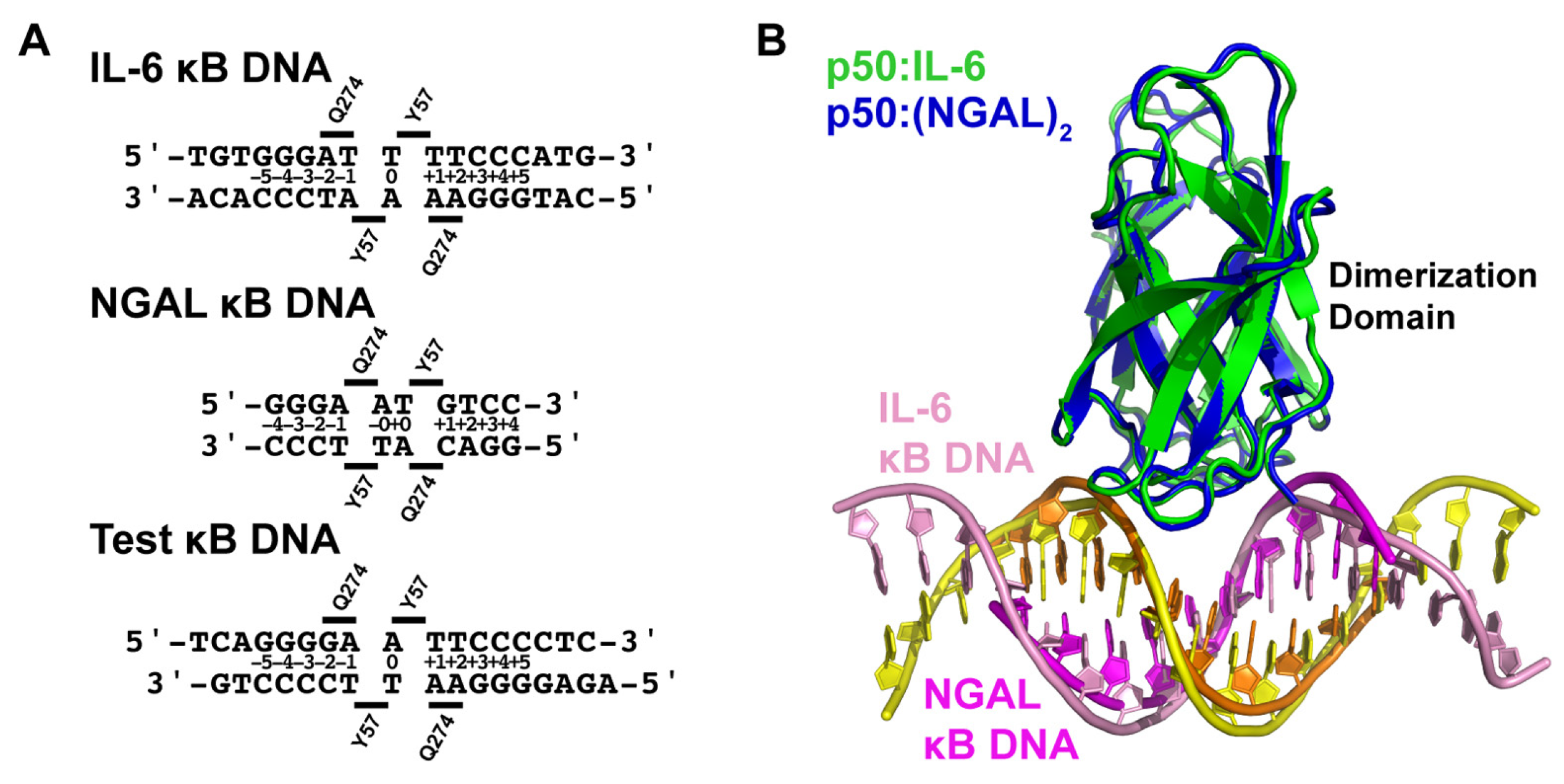 Biomolecules 13 01310 g005