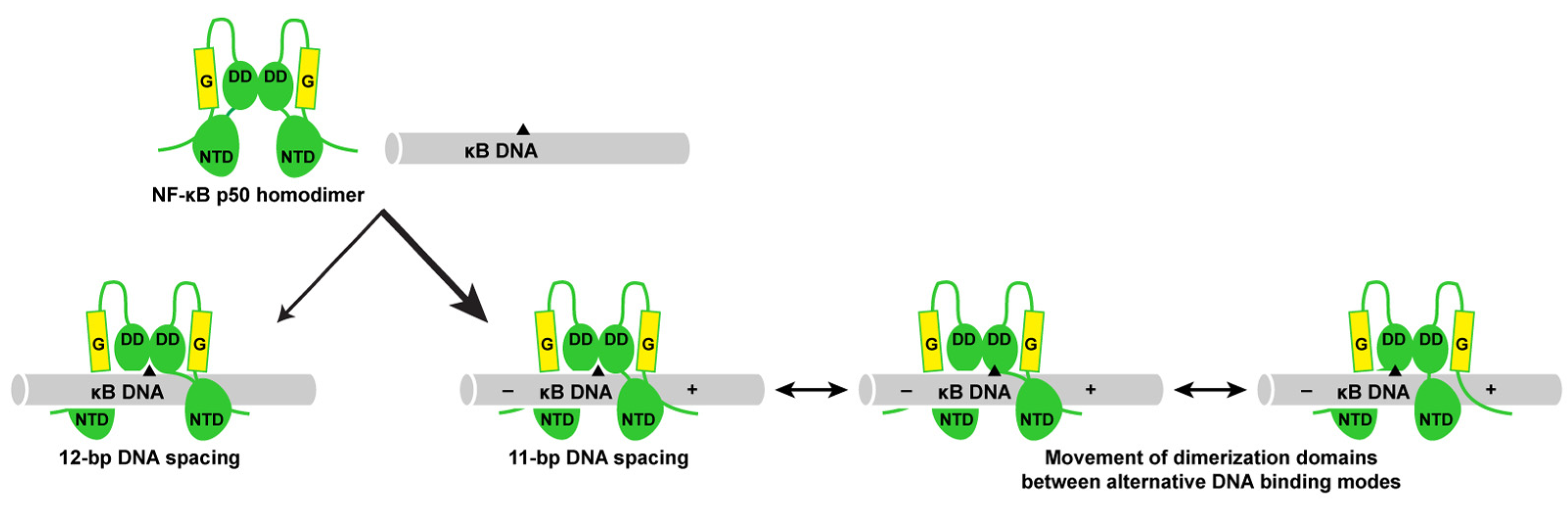 Biomolecules 13 01310 g006