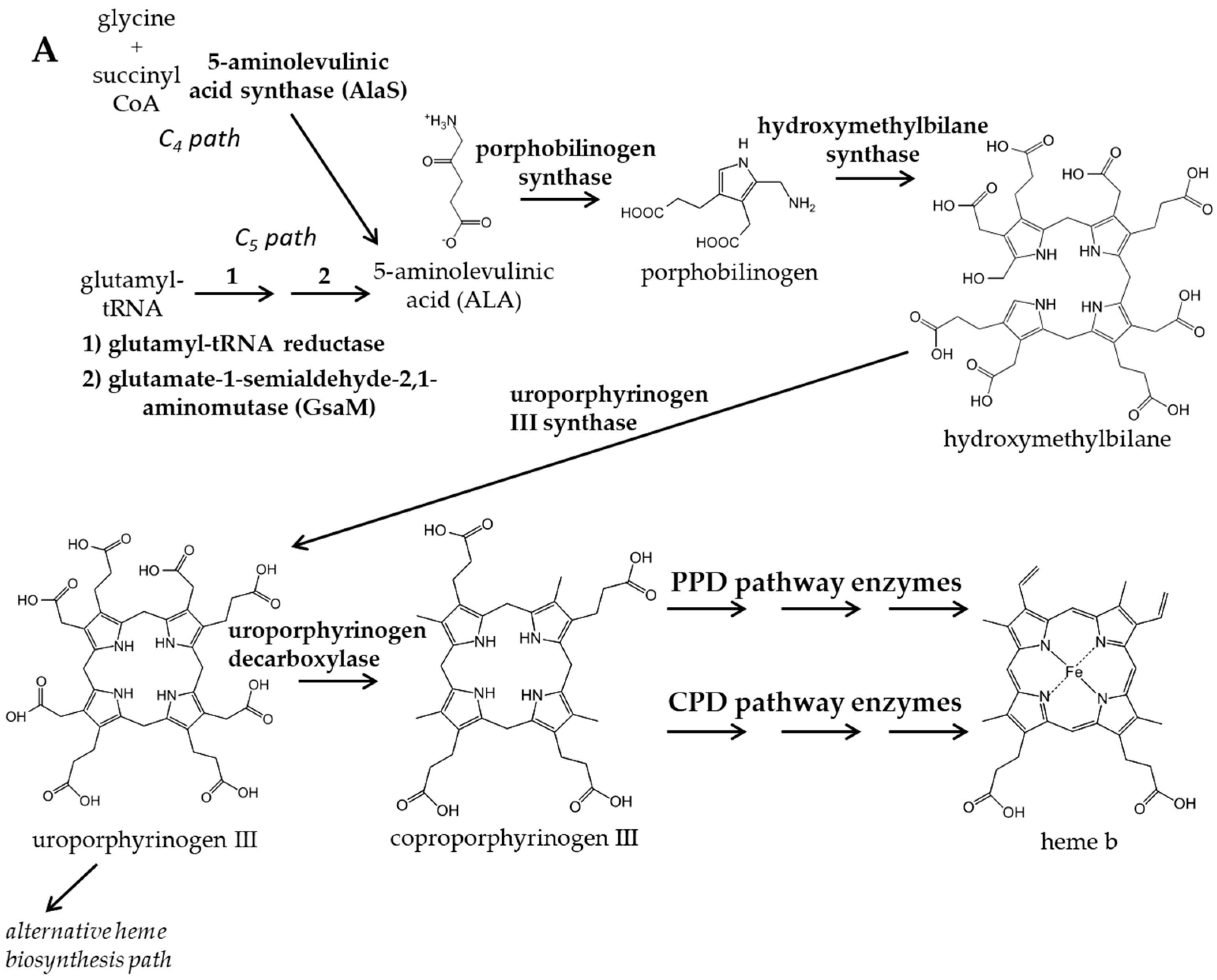 Biomolecules 13 01485 g001a