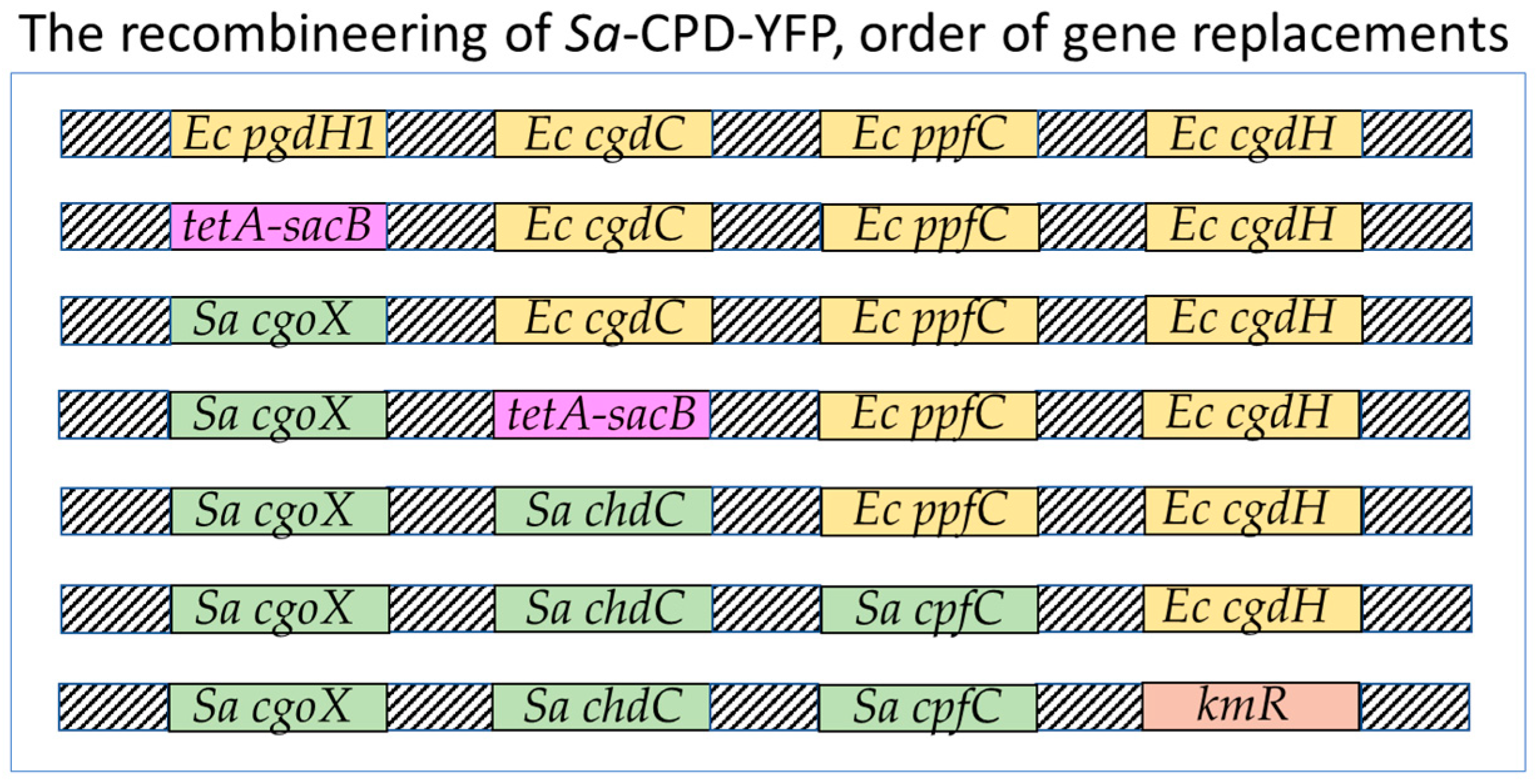 Biomolecules 13 01485 g004