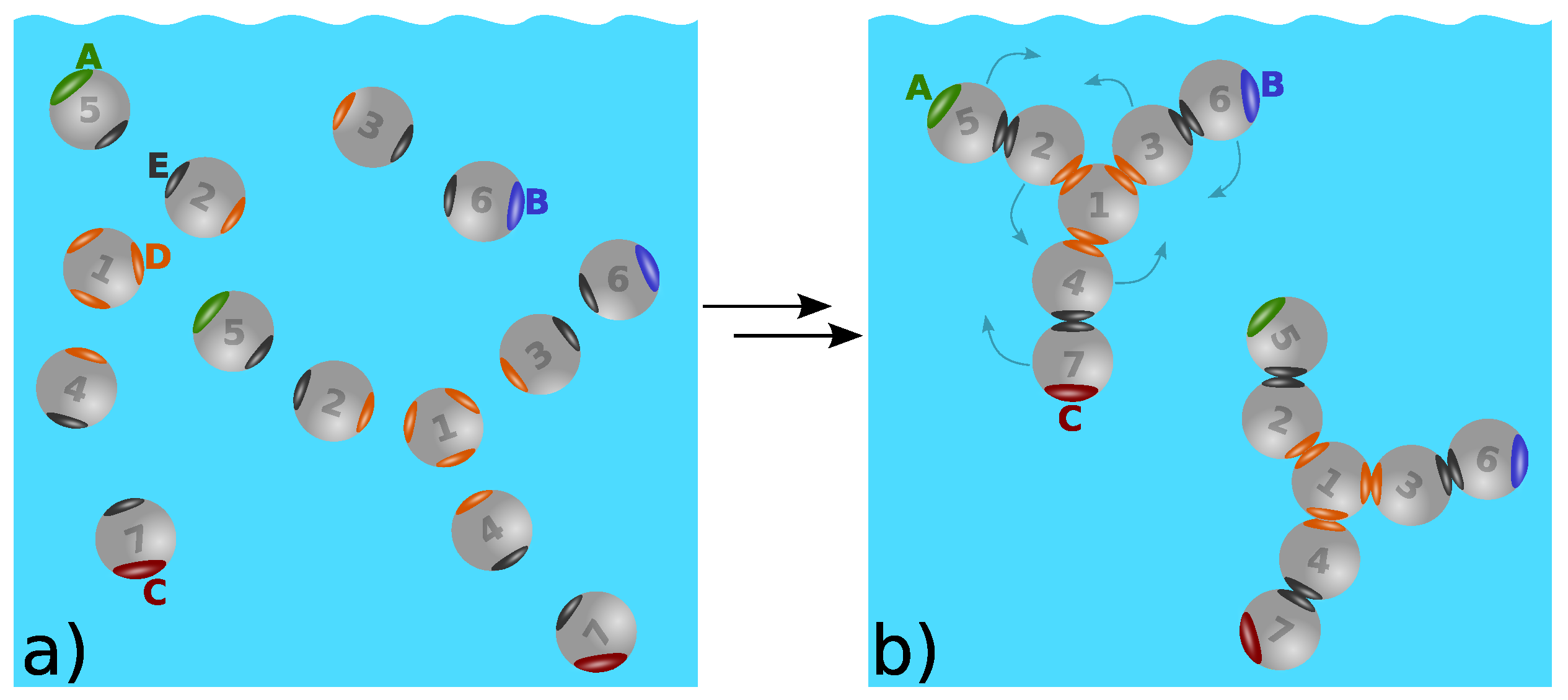 Biomolecules 13 01703 g006