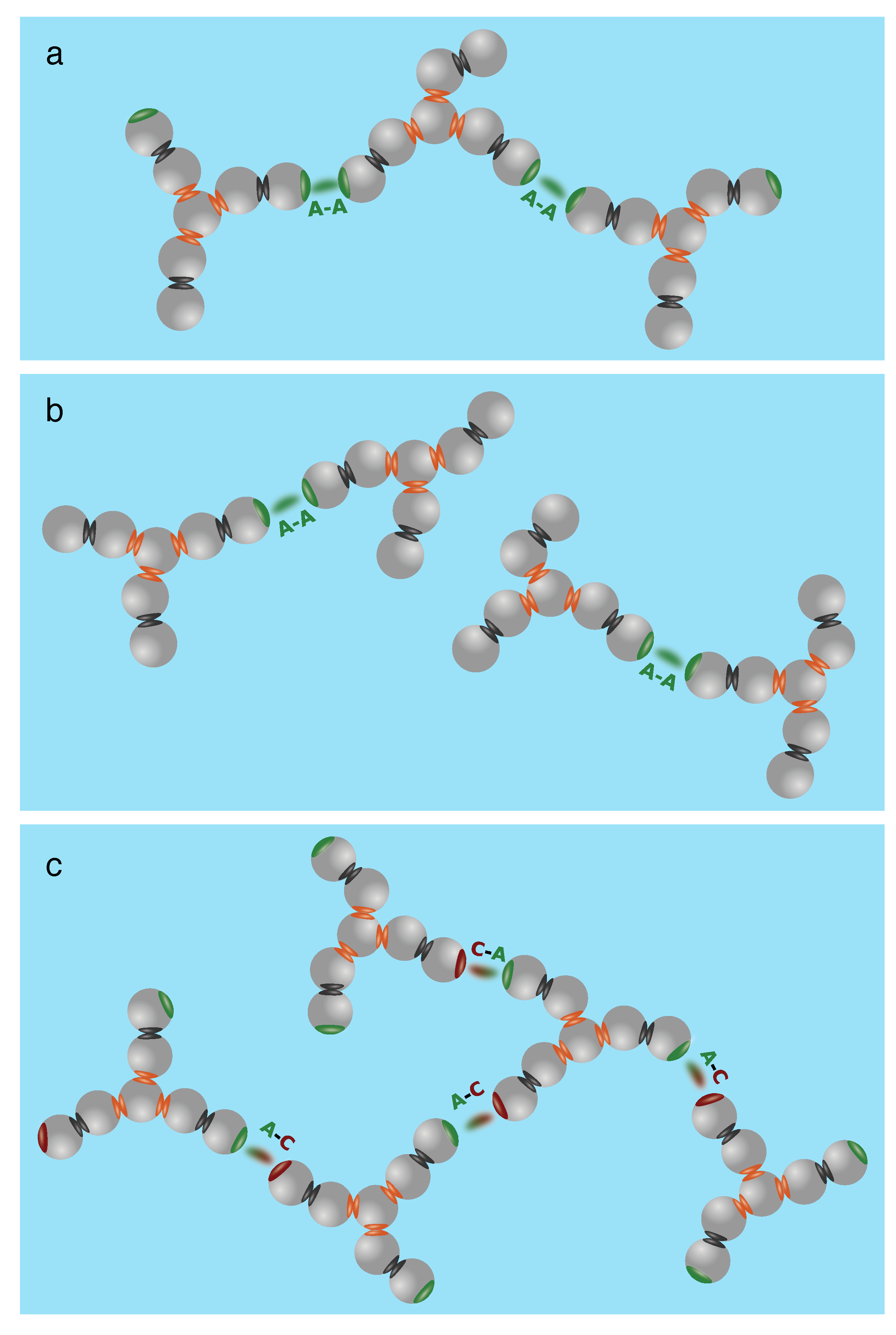 Biomolecules 13 01703 g008